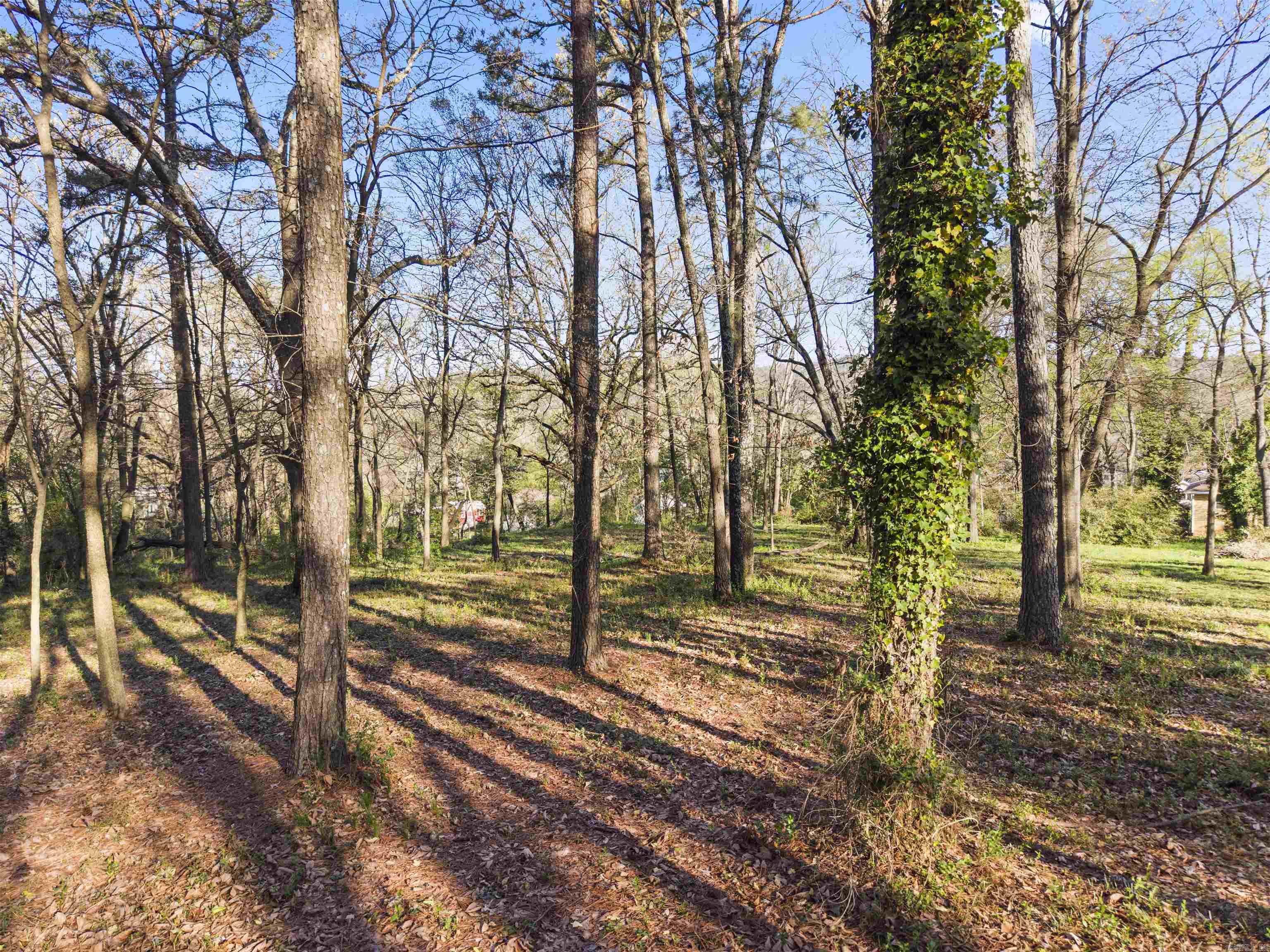 8-3S-19W Unplatted Hot S - Land