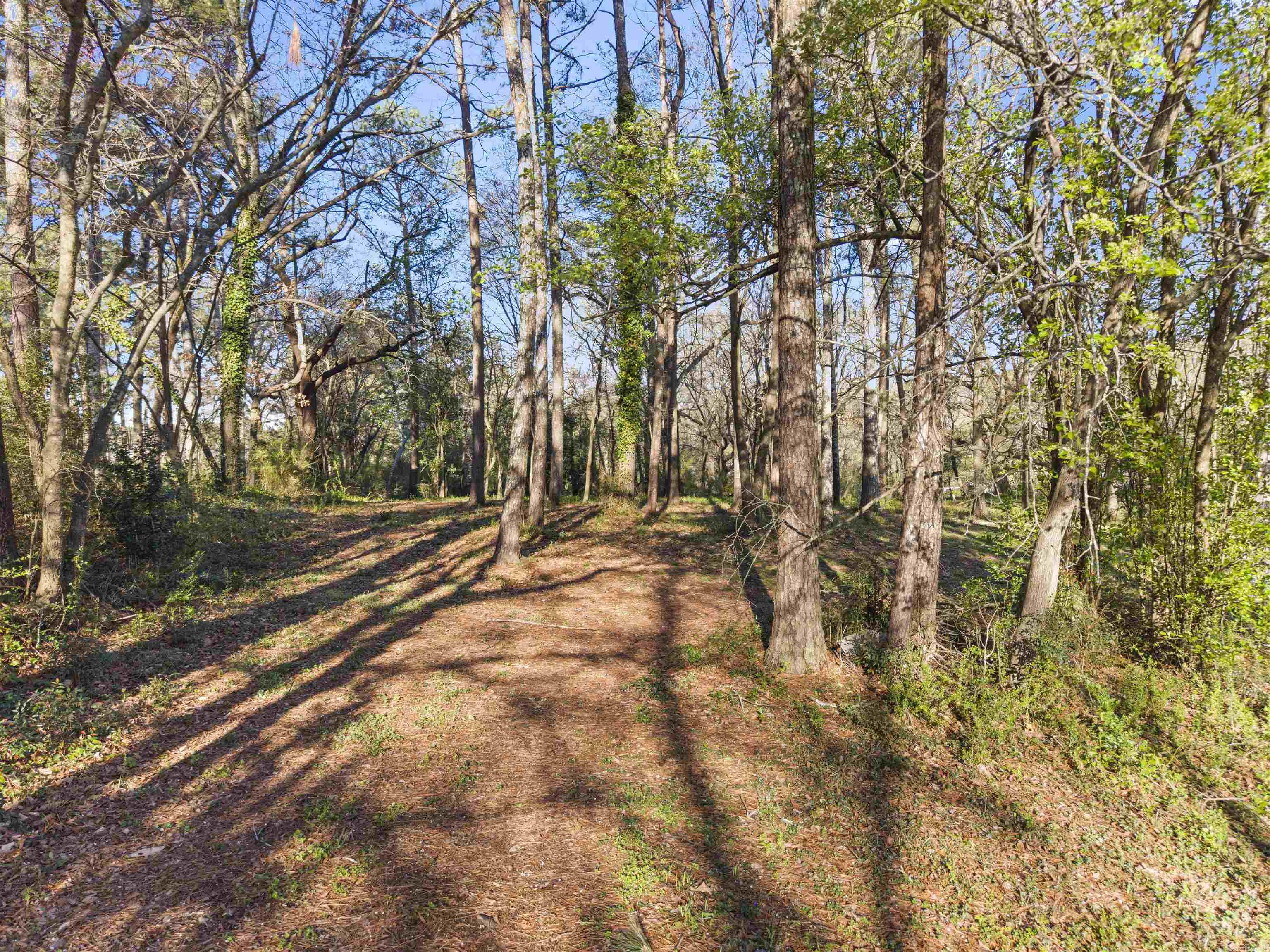 8-3S-19W Unplatted Hot S - Land