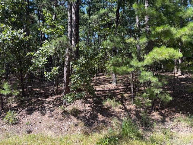 Gentle upslope, treed lot on a quiet street in the middle of Hot Springs Village