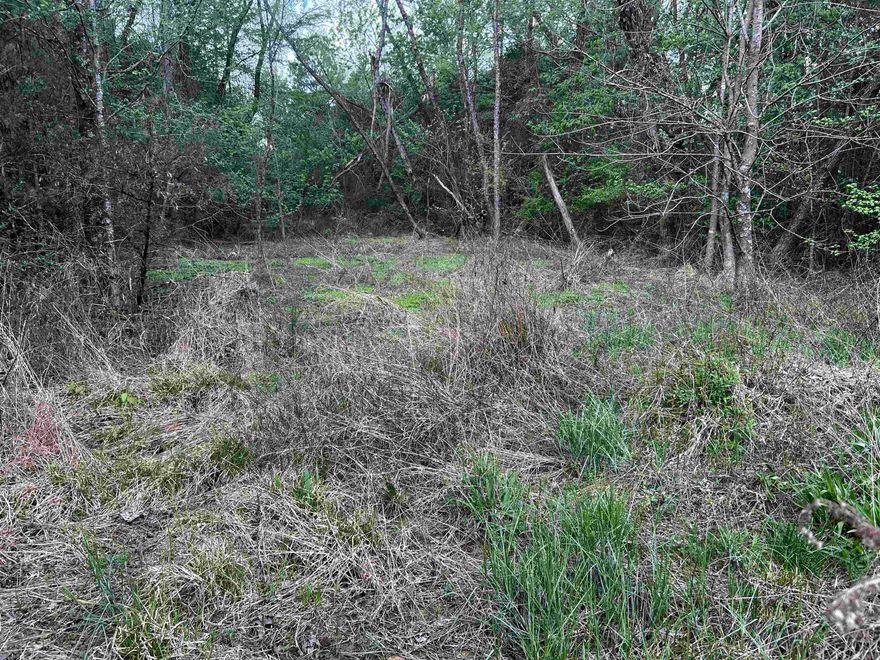 0.43 acre lot located in Russellville with a nice setting and plenty of potential. Public water and sewer available at the street. Convenient location just minutes from town. This property is landlocked.