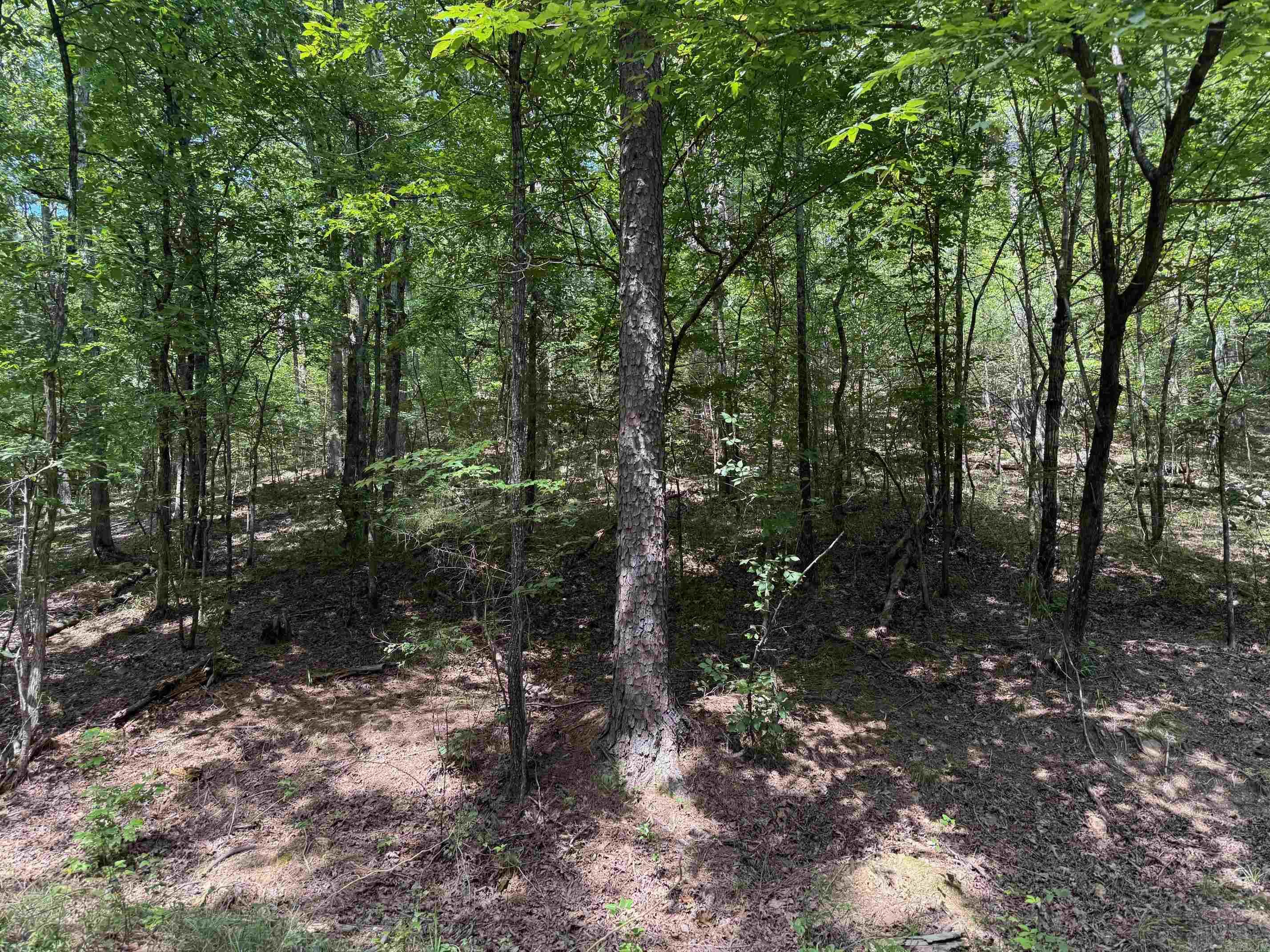 Large chunk of acreage along and on parts of both sides of Mountain View Drive in the Heart of the Bike Trails! This Property is in the city Limits with utilities available. Nice Building spots along the ridges on this Property.