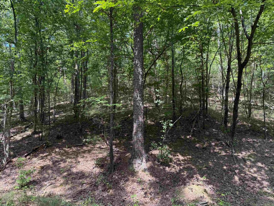 Large chunk of acreage along and on parts of both sides of Mountain View Drive in the Heart of the Bike Trails!  This Property is in the city Limits with utilities available.  Nice Building spots along the ridges on this Property.