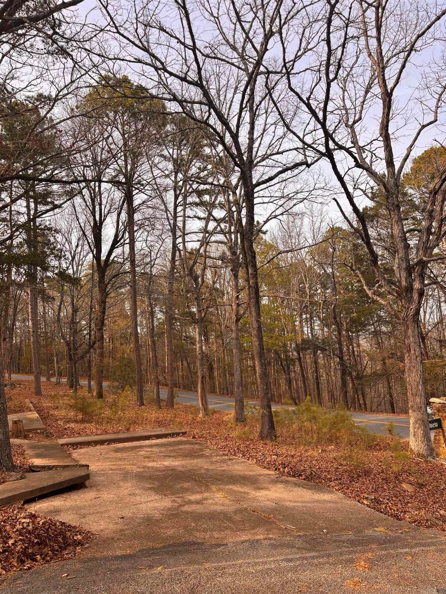 Vacant charter lot available in the Lakewood subdivision on Meadow View Lane! This is a great opportunity to own a piece of property to gain you access to some incredible amenities. Privileges that include golf courses, a marina, tons of ATV trails, restaurants, and so much more!  This lot is compact and easy to maintain, with some existing concrete already in place. Affordable, low-maintenance, and packed with perks - don't miss this chance to own in the growing community of Fairfield Bay.