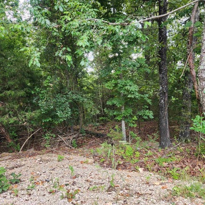 L-38 B-4 TOPEZ DRIVE, CHEROKEE VILLAGE, AR 72529 - Image 7b8ce6d5673a506edc08feef6b1bef2d/1712476789