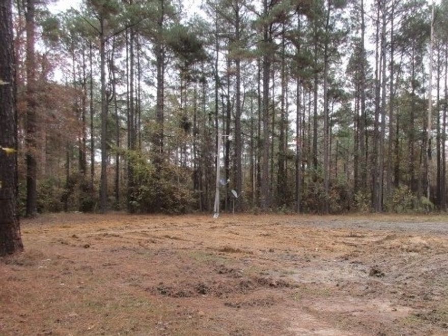 Good build site or mobile home location. Home site already cleared with driveway. *All offers must be submitted by the buyer’s agent using the online offer management system. Access the system via the link below. A technology fee will apply to the buyer’s agent upon consummation of a sale.     Offer link to property:  http://reo.exceleras.com/?c=ARPO