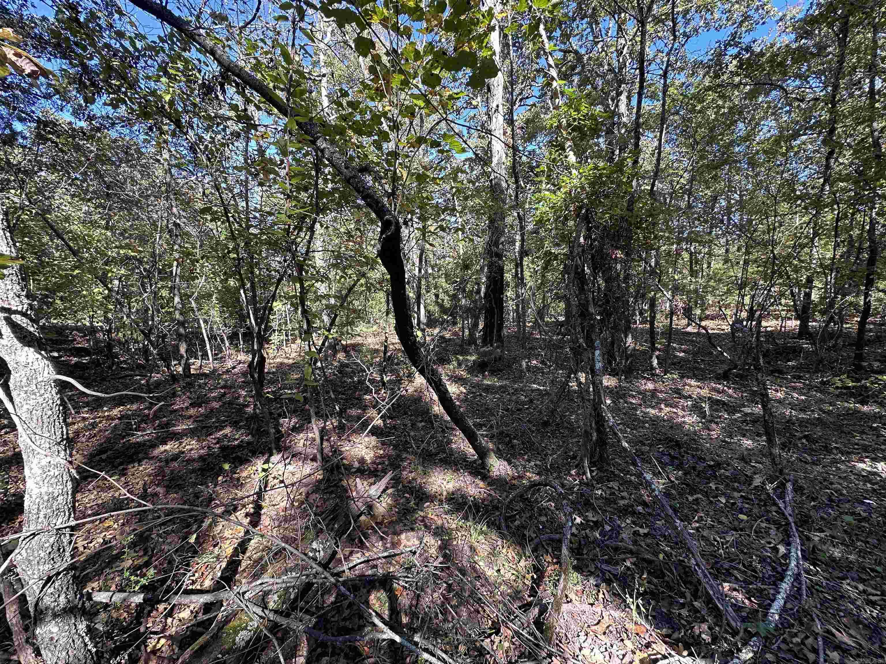 Looking for an affordable place to build your next home or getaway? This charming lot in Horseshoe Bend could be just what you’ve been searching for! Nestled in a peaceful, well-established area, this property offers a relaxed small-town lifestyle surrounded by the natural beauty of the Ozarks. Utilities: Water and electricity are available at the street (based on surrounding properties), making it easier to start planning your build. Location: Enjoy the quiet of the neighborhood while being only minutes from Crown Lake, Turkey Mountain Golf Course, and the Horseshoe Bend Garden Club Park.  Lifestyle: Horseshoe Bend is known for its welcoming community, scenic views, and slower pace of life — making it an ideal spot for a future home, a retirement retreat, or a peaceful escape. Whether you’re dreaming of building now or investing for the future, this affordable lot offers great potential in one of North Central Arkansas’s most serene lake communities. Equal Housing Opportunity.