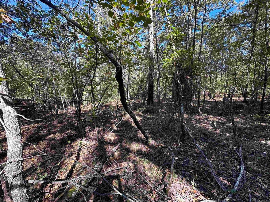 Looking for an affordable place to build your next home or getaway? This charming lot in Horseshoe Bend could be just what you’ve been searching for! Nestled in a peaceful, well-established area, this property offers a relaxed small-town lifestyle surrounded by the natural beauty of the Ozarks. Utilities: Water and electricity are available at the street (based on surrounding properties), making it easier to start planning your build. Location: Enjoy the quiet of the neighborhood while being only minutes from Crown Lake, Turkey Mountain Golf Course, and the Horseshoe Bend Garden Club Park.  Lifestyle: Horseshoe Bend is known for its welcoming community, scenic views, and slower pace of life — making it an ideal spot for a future home, a retirement retreat, or a peaceful escape. Whether you’re dreaming of building now or investing for the future, this affordable lot offers great potential in one of North Central Arkansas’s most serene lake communities. Equal Housing Opportunity.