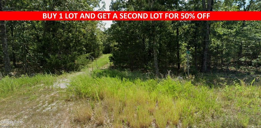 Buy one lot and get 50% off an additional lot! Owner-finance for easy terms. Cash buyers can pay by debit or credit card as well. Nice lot to develop or hold for future value. Public water and electric are available to run to property and will need septic. Owner/agent. Finance is 5 months at $194 and closing costs are included. Lots marked with red banner are part of promotion. No limit on lots. Buyer responsible for any/all taxes and lots sold "as-is". Quit claim deed conveys. Parcel ID# 405-21516-000
