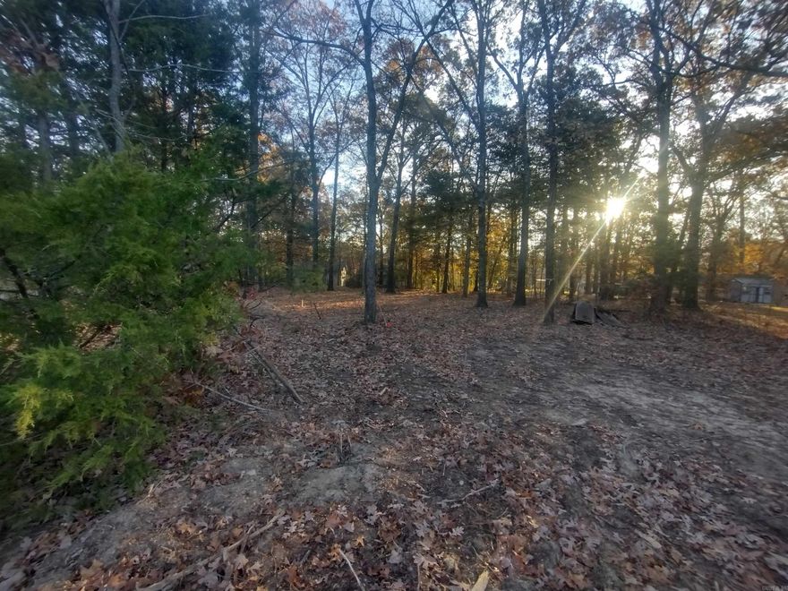 Great lot to build your new home, rental cabin super nice lot in city limits but on outskirts of town has power and water available