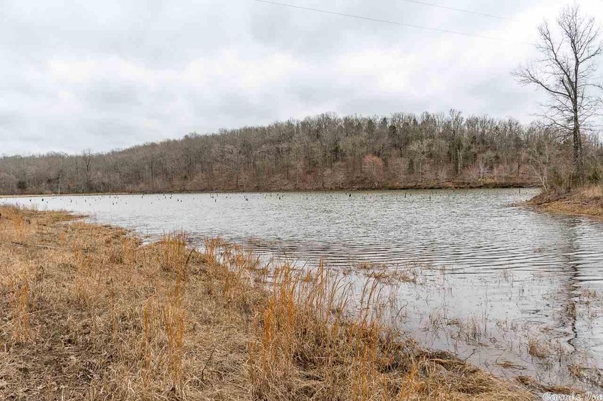 Check out this beautiful 400 Ac with 17 Ac lake. This property is very unique and is the perfect recreational property or development. New survey in documents.  There is a 1565 sq ft house included with this property. City water and septic.  Appointment required, gate locked.  Call listing agent for more details.