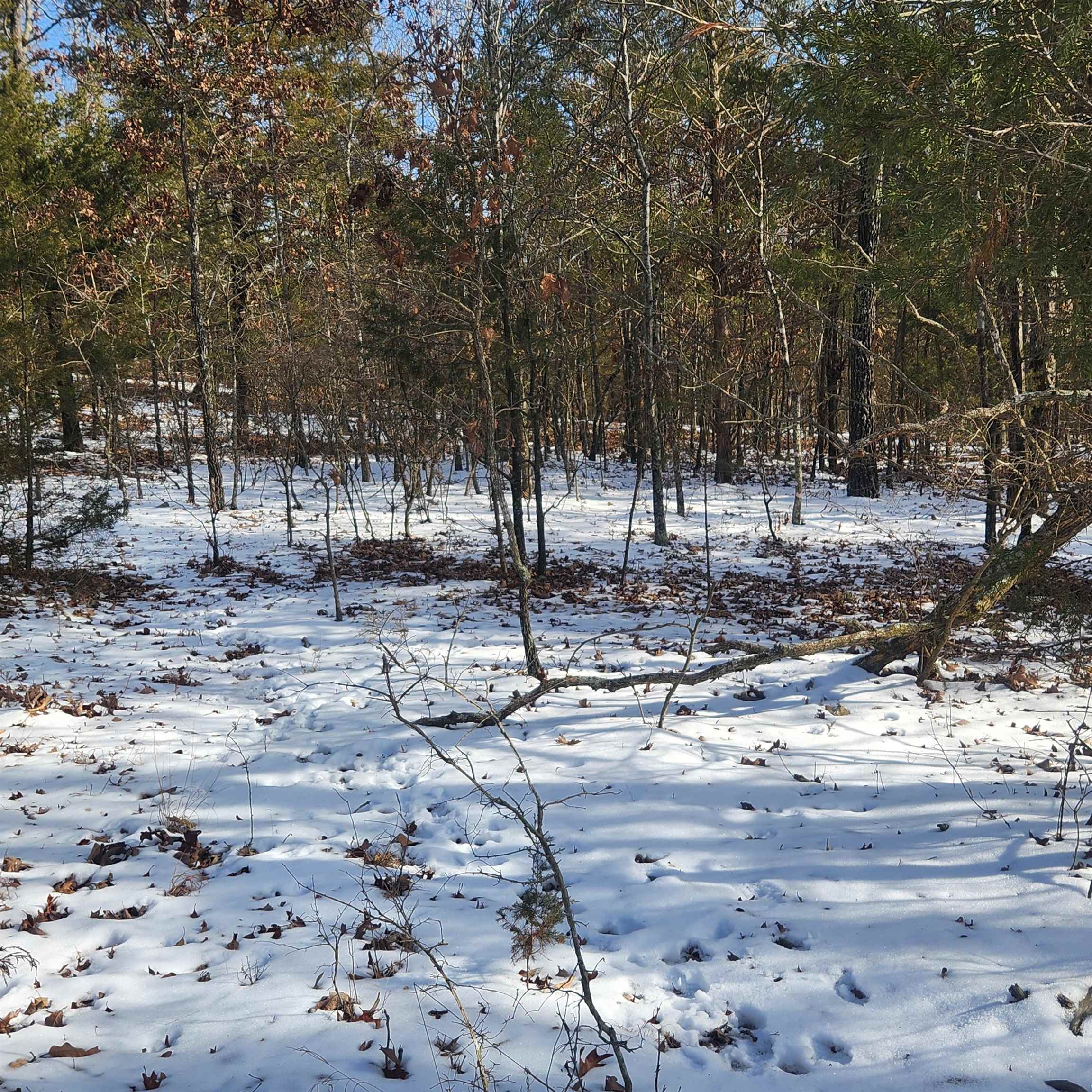 Metes & Bounds - Land