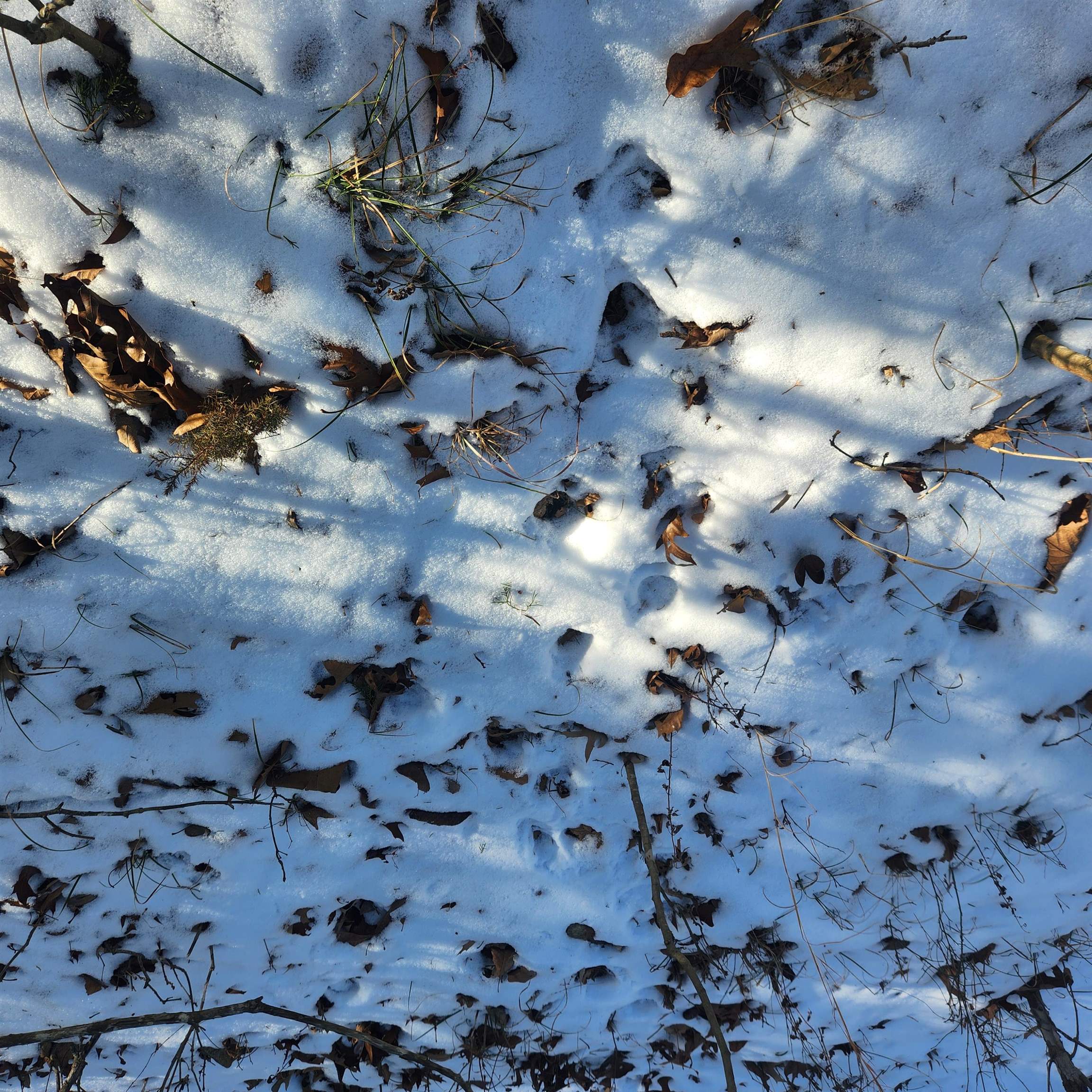 Metes & Bounds - Land