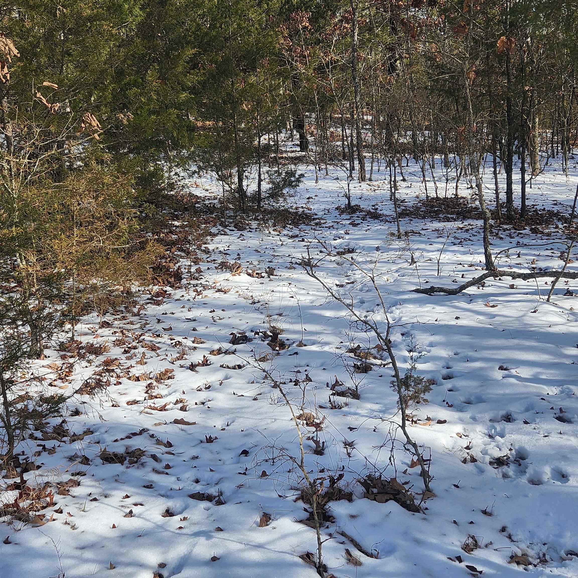 Metes & Bounds - Land