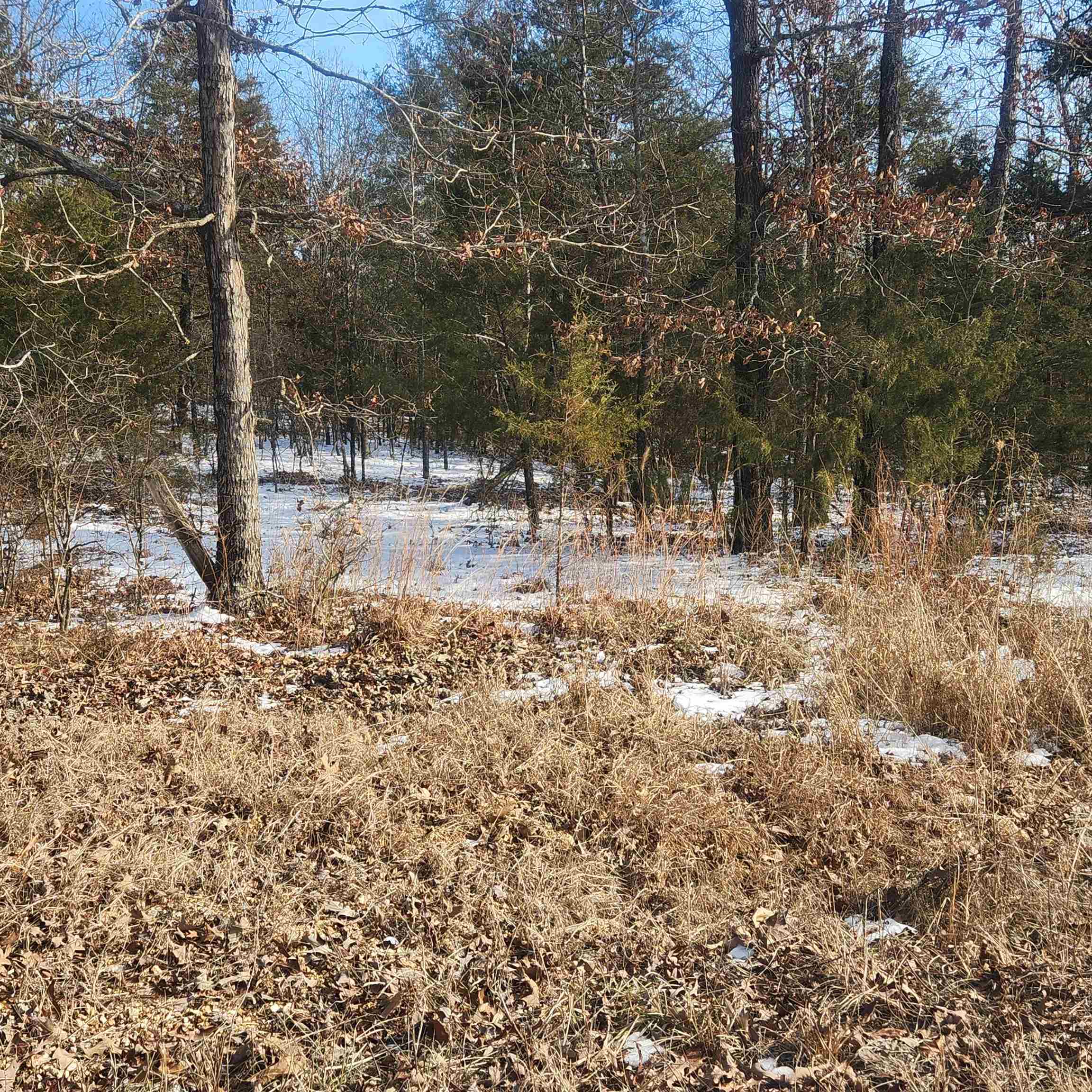 Metes & Bounds - Land