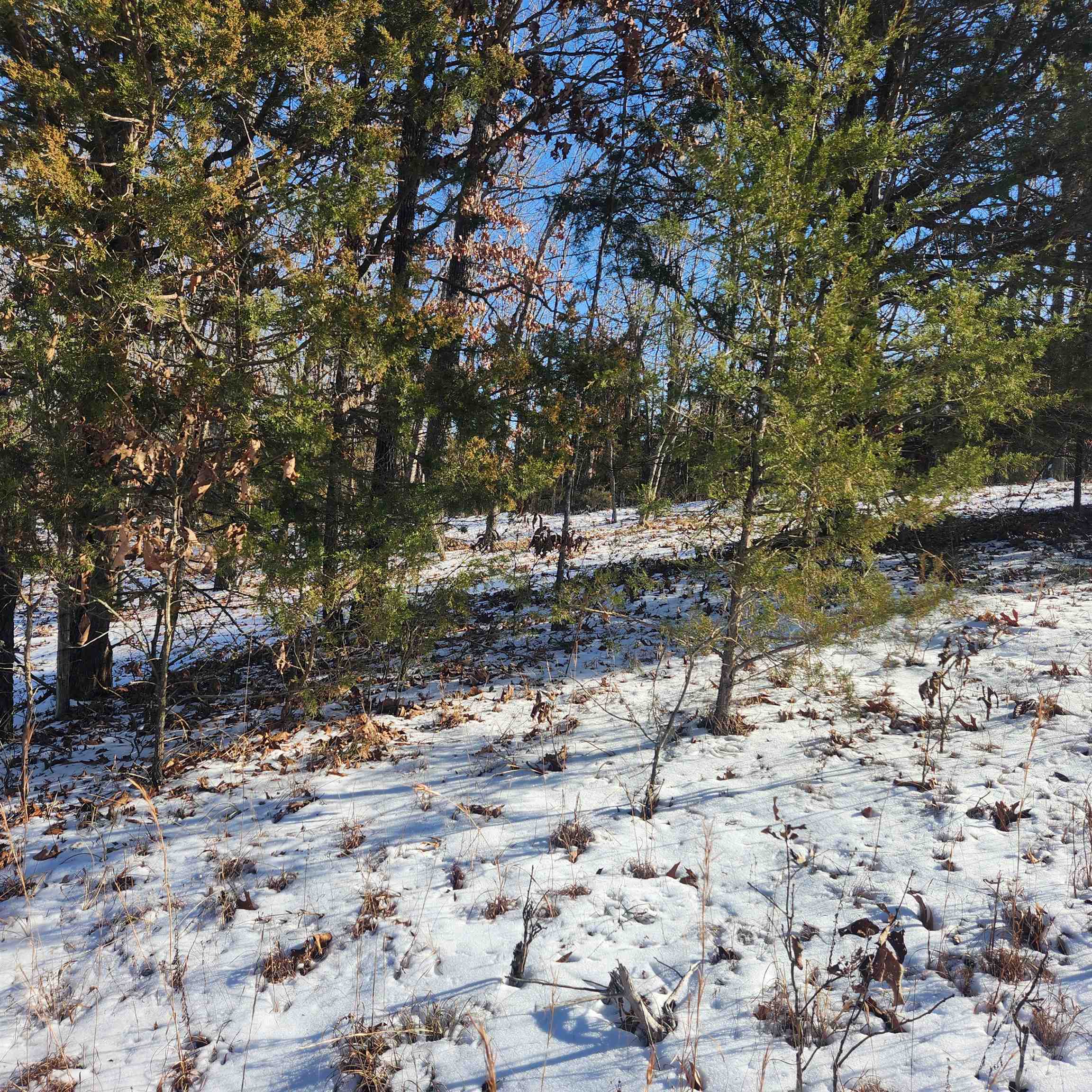 Metes & Bounds - Land