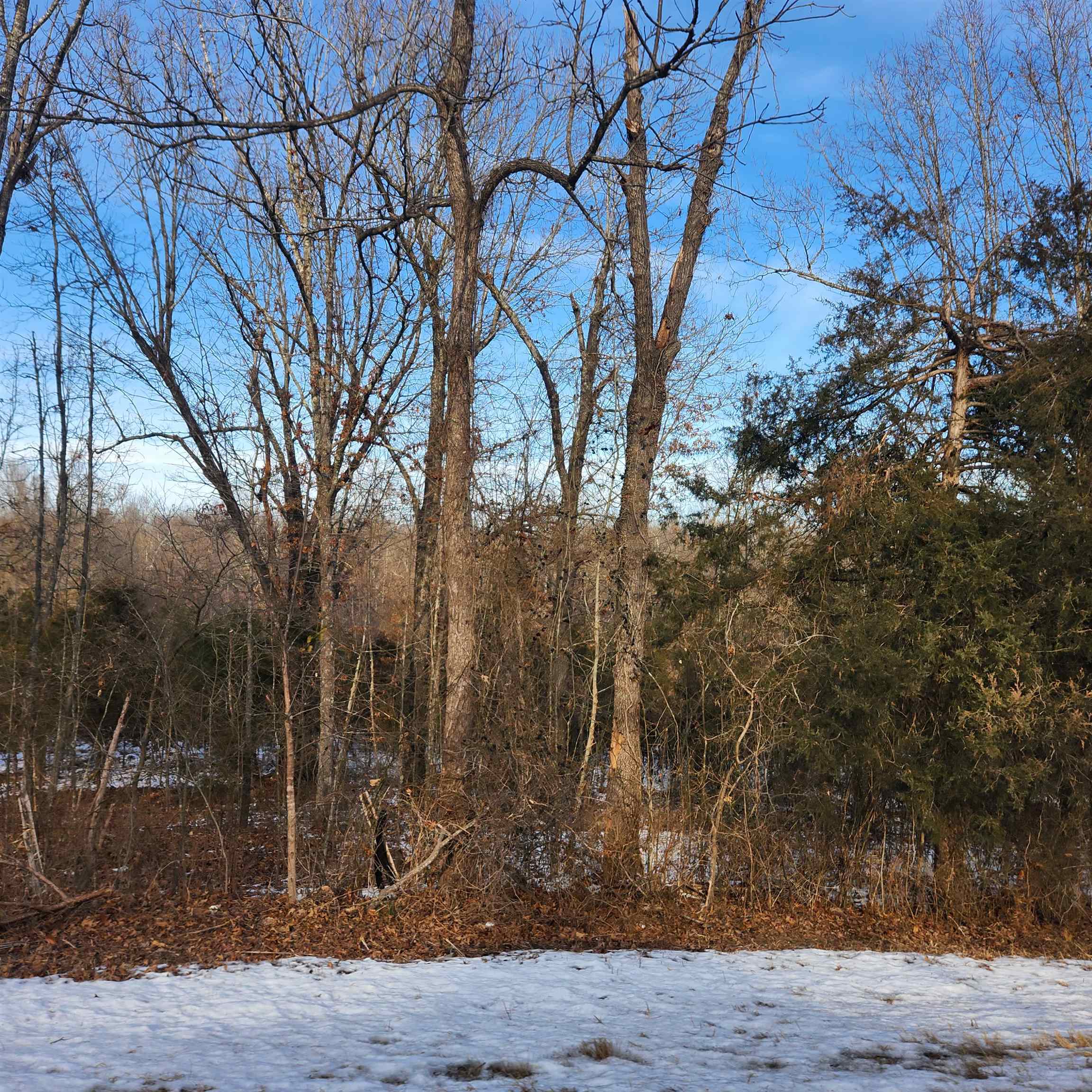 Metes & Bounds - Land