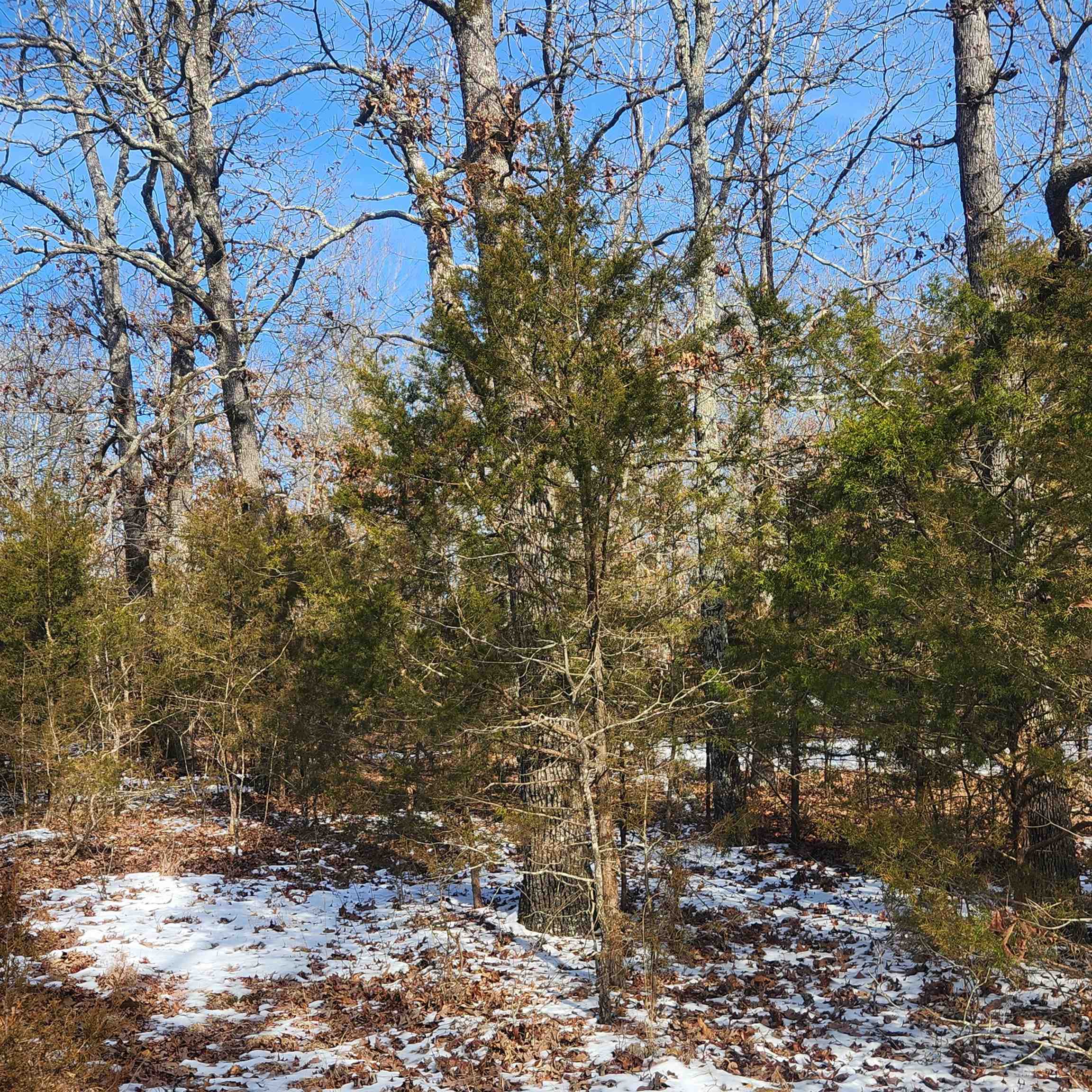 Metes & Bounds - Land