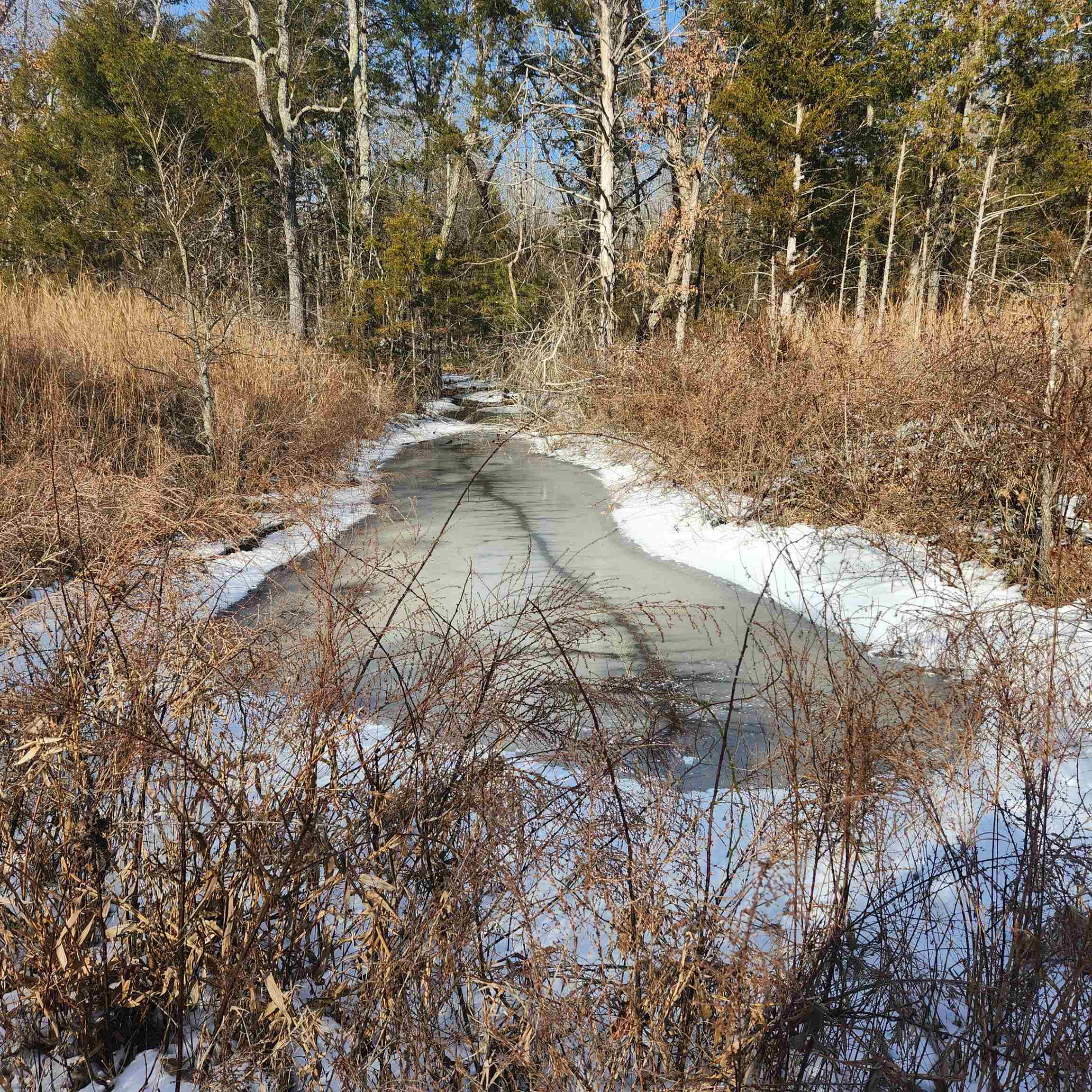 Metes & Bounds - Land