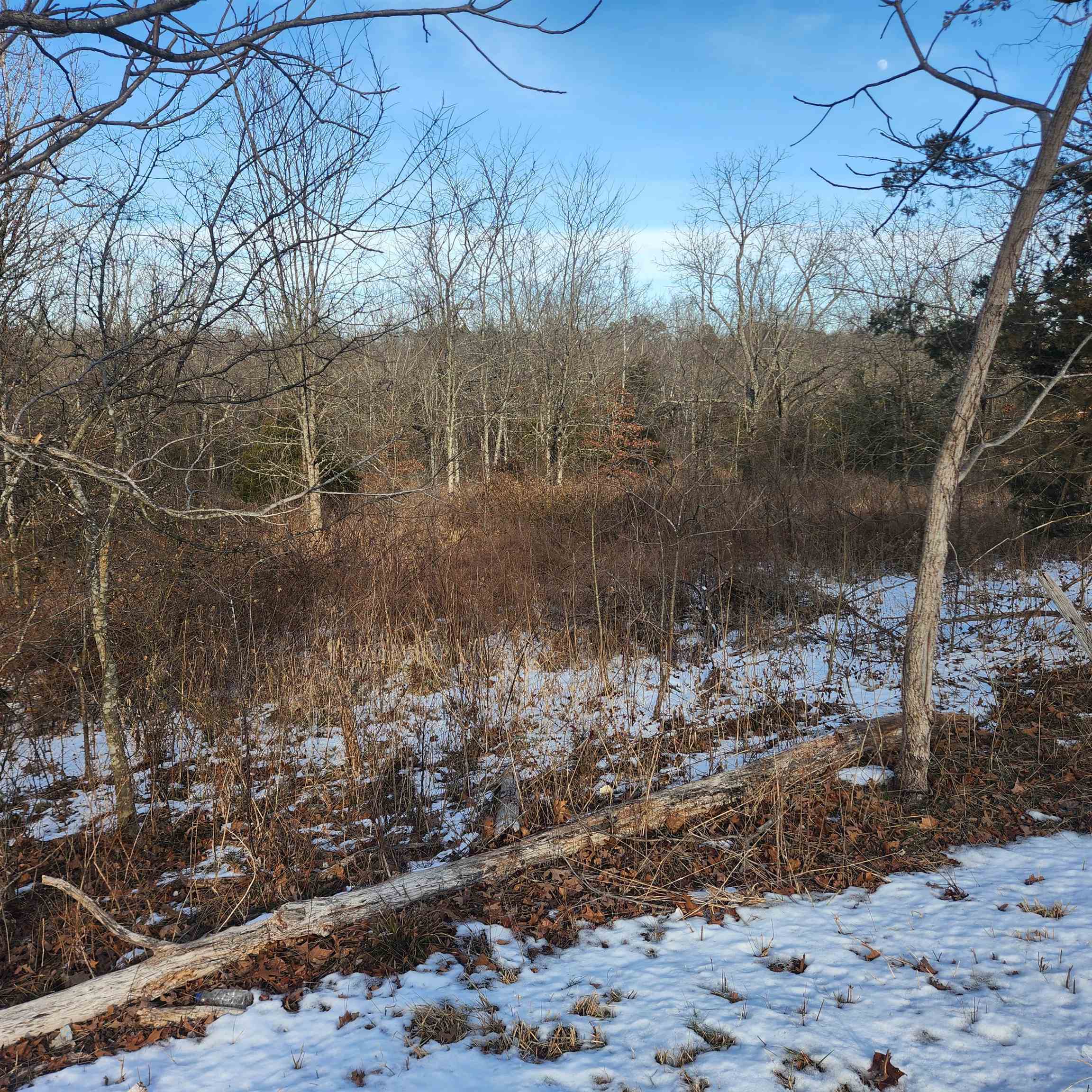 Metes & Bounds - Land