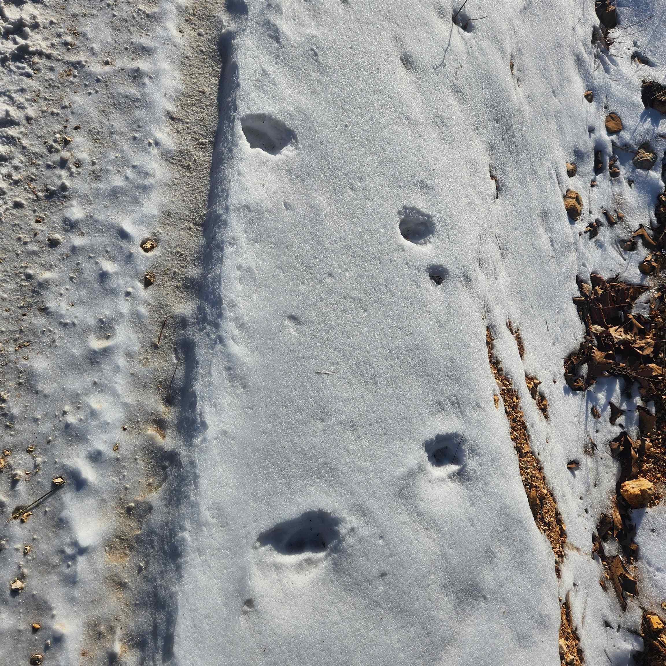 Metes & Bounds - Land