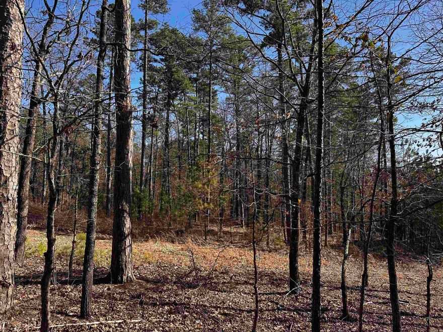 Beautiful lush wooded 40 acre tract close to Mena! Nice Building sites! Utilities close.