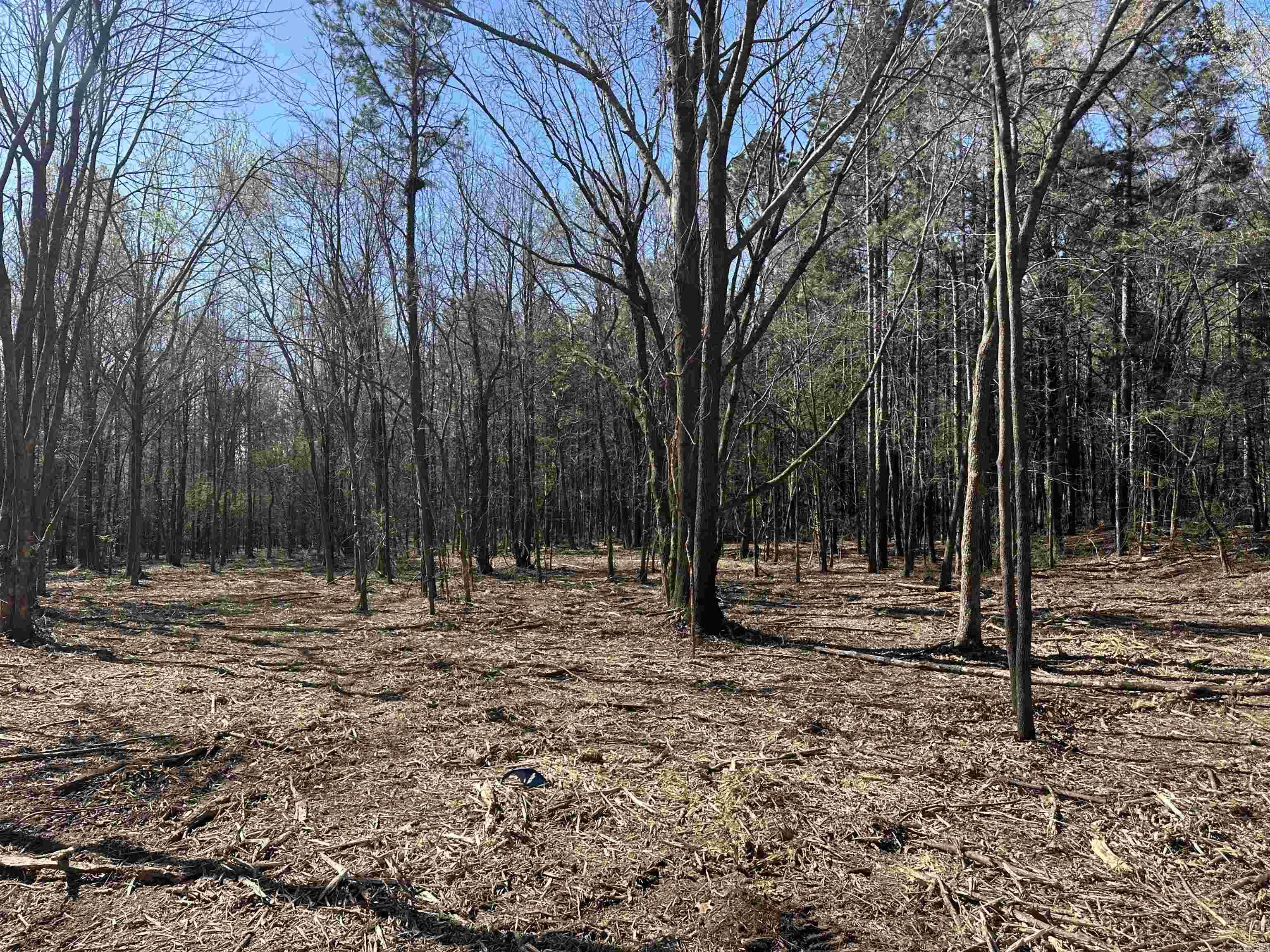 Cliff & Stream - Land