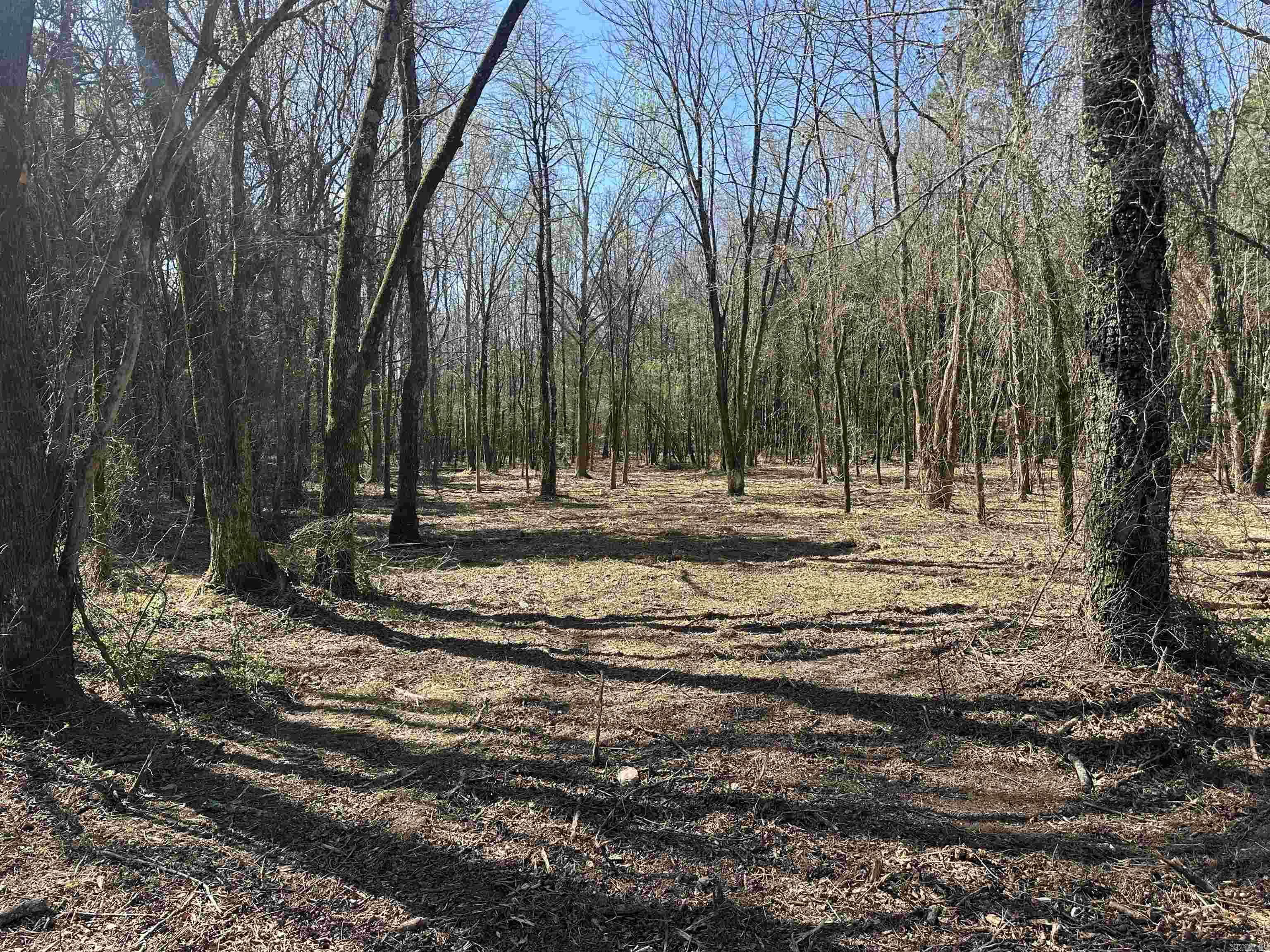 Cliff & Stream - Land