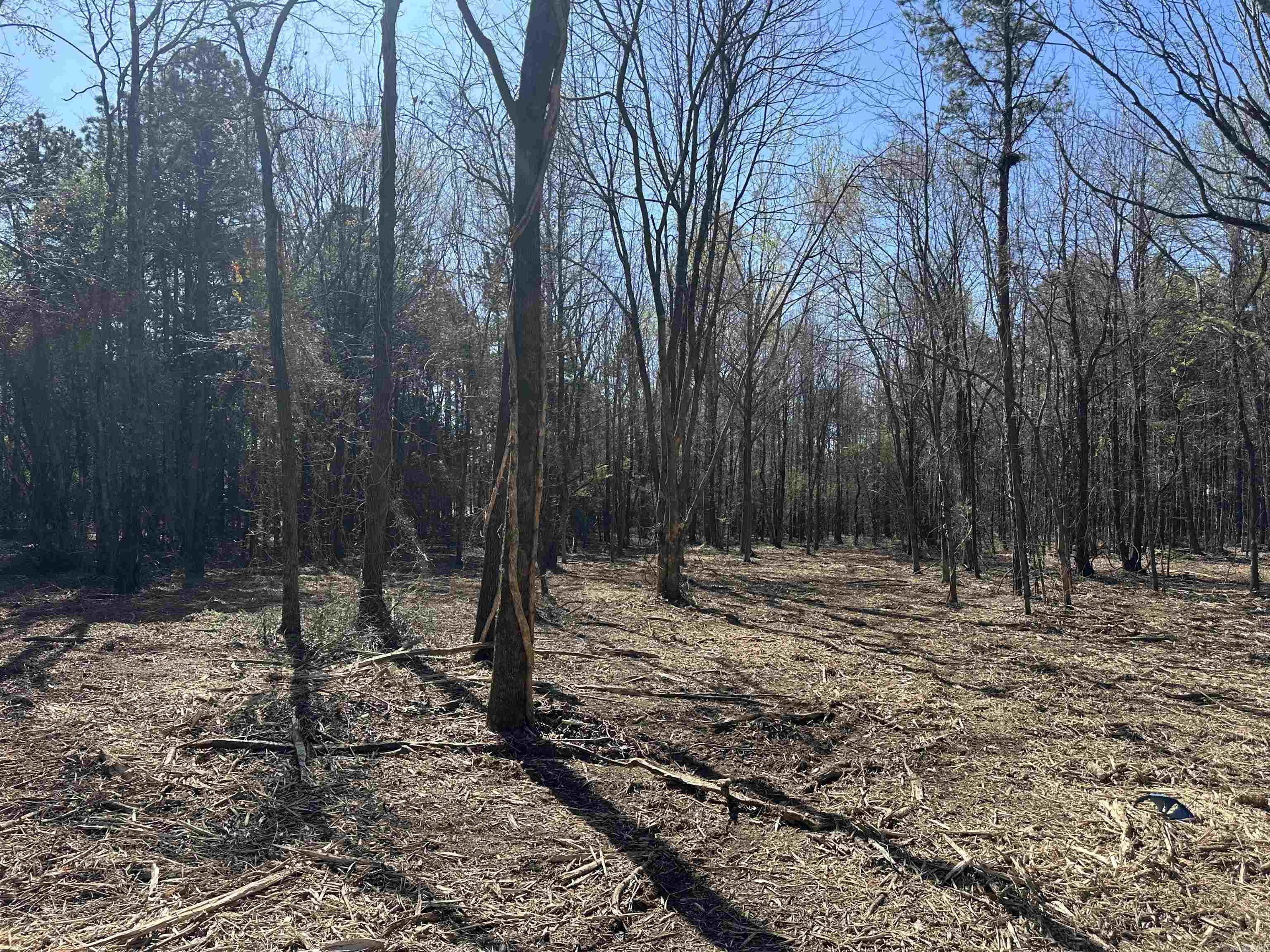 Cliff & Stream - Land