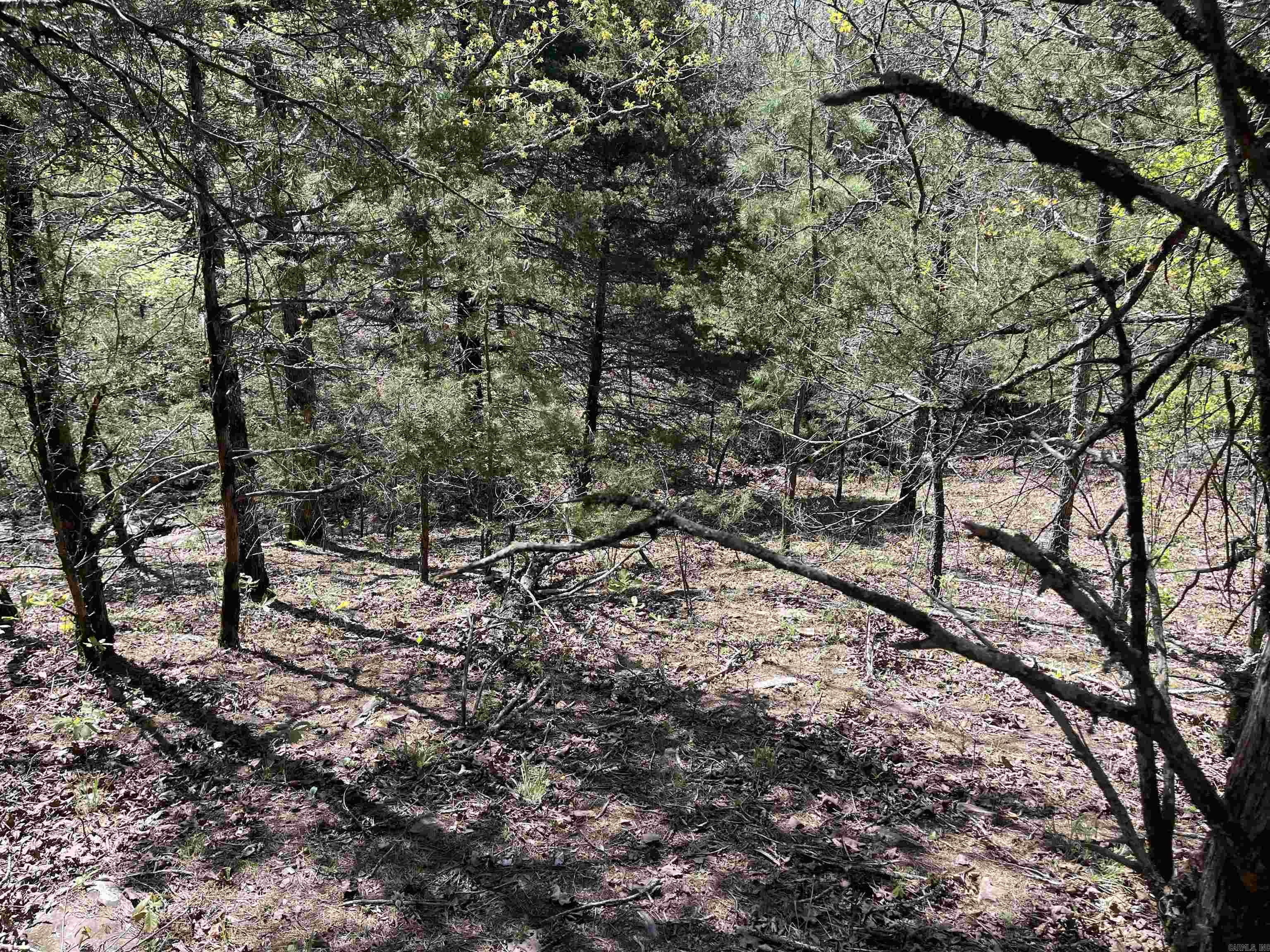 Orchard Point - Land