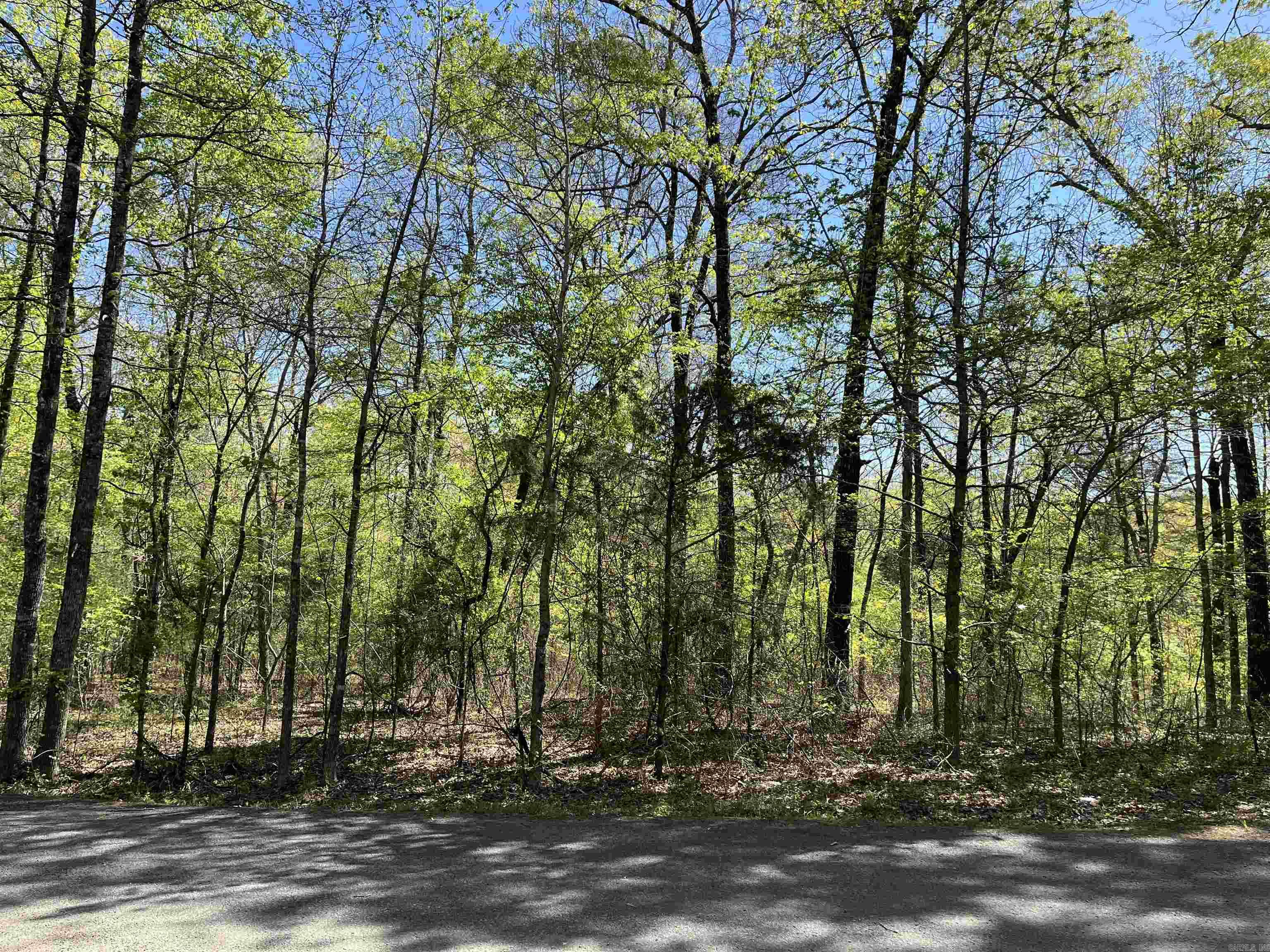 Orchard Point - Land