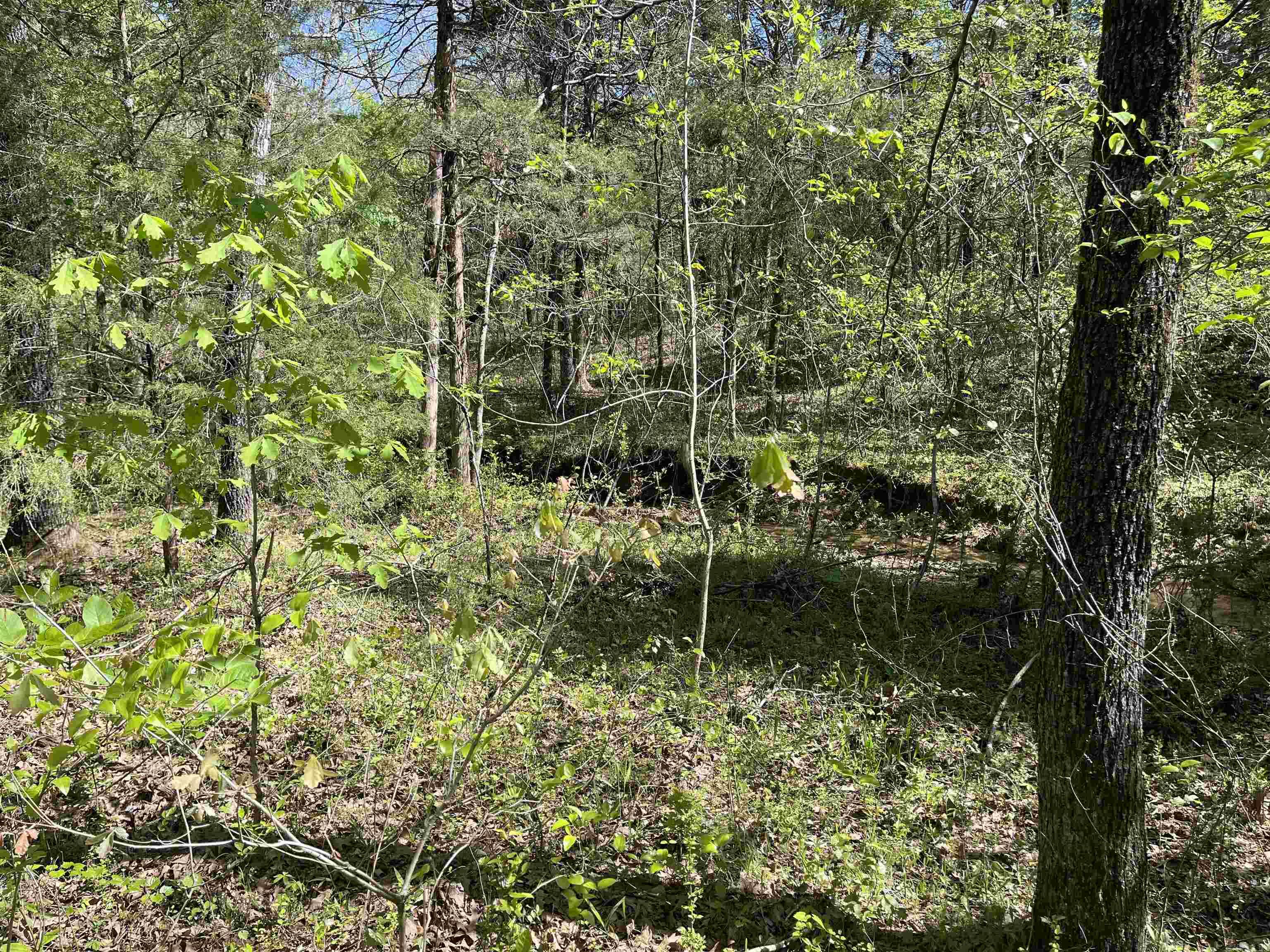 Orchard Point - Land