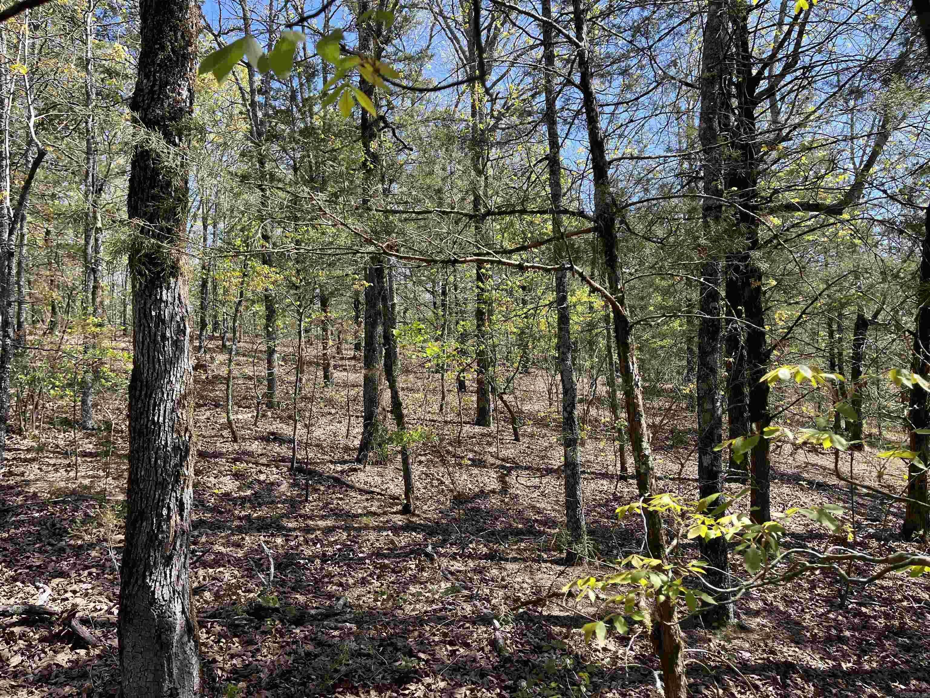 Orchard Point - Land