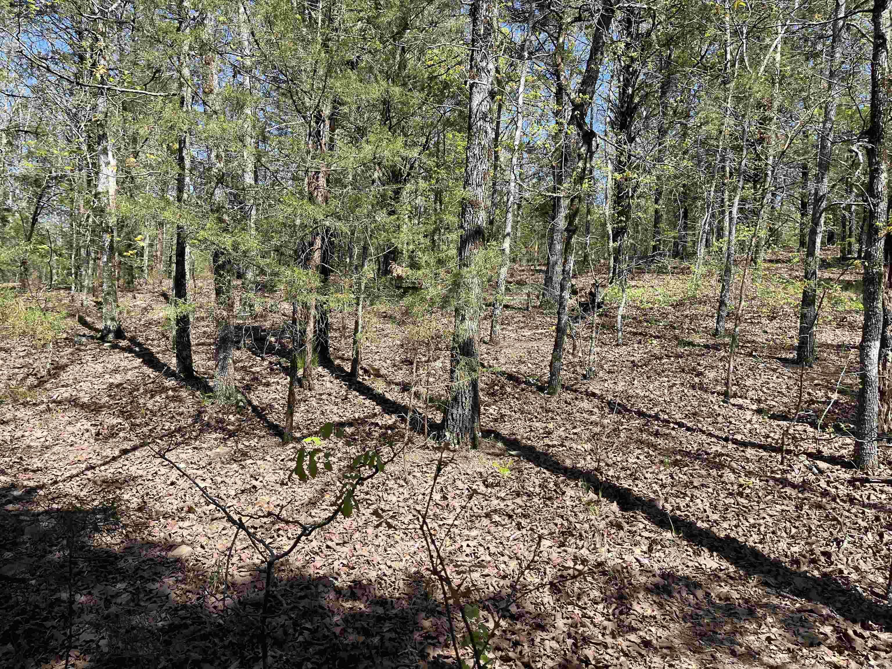 Orchard Point - Land