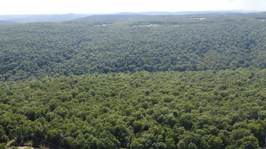 Secluded 10 Acres – Timberland  Recreational & Hunting Land Near Leslie, AR  Escape to your own private 10-acre slice of the Ozarks! This secluded, wooded tract is the perfect getaway for hunters, campers, or anyone seeking peace and quiet in nature. Located just 15 minutes from the charming town of Leslie, AR, this property offers a mix of hardwoods, rock outcroppings, gentle terrain, and abundant wildlife, including deer, bear, small game, and turkey—ideal for hunting or hiking. There are no restrictions, giving you the freedom to build a cabin, set up a campsite, park an RV, or create your off-grid retreat. The land is raw, private, and peaceful, with plenty of area for future improvements. Nearby to the Buffalo National River and Greers Ferry Lake, you’ll have endless opportunities for kayaking, fishing, boating, and exploring. Whether you're looking for a recreational property, hunting land, or a future homestead, this 10-acre tract offers seclusion surrounded by nature. A great investment in natural beauty—come see it today!