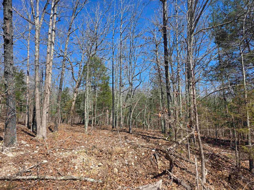Come see this wonderful wooded lot. You will find it secluded in the woods on the Northwest side of the Village. Near Lake Omaha but secluded enough that there is no house in site. This lot is located at the end of a Cul De Sac with no other homes on the road. Come pick your building site for your weekend get away cabin, vacation home or your forever home. Ownership of this lot gives you access to all the Cherokee Village aminities, such at the 7 Lakes for fishing, boating and 2 are big enough for skiing, Two 18-Hole golf courses to work on your game, The Thunderbird Center, swimming pool and mini golf. And dont forget that the beautiful Southfork river runs right through Cherokee Village before merging into the Spring River. So you can take a lazy float down the river.