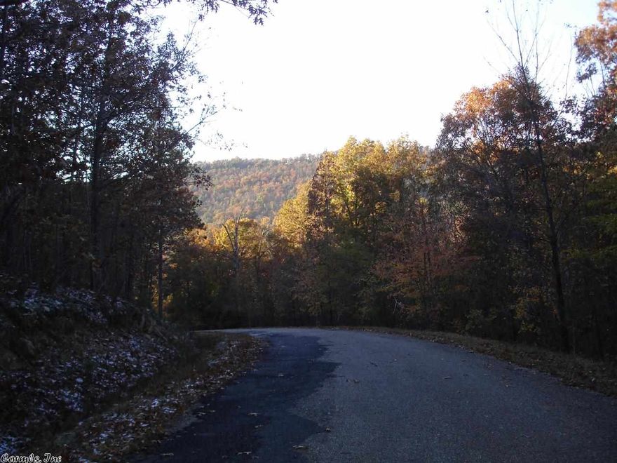 Enjoy the beauty and tranquility of this bargain priced 22.53 acre tract of land located just a few minutes from downtown Hot Springs.