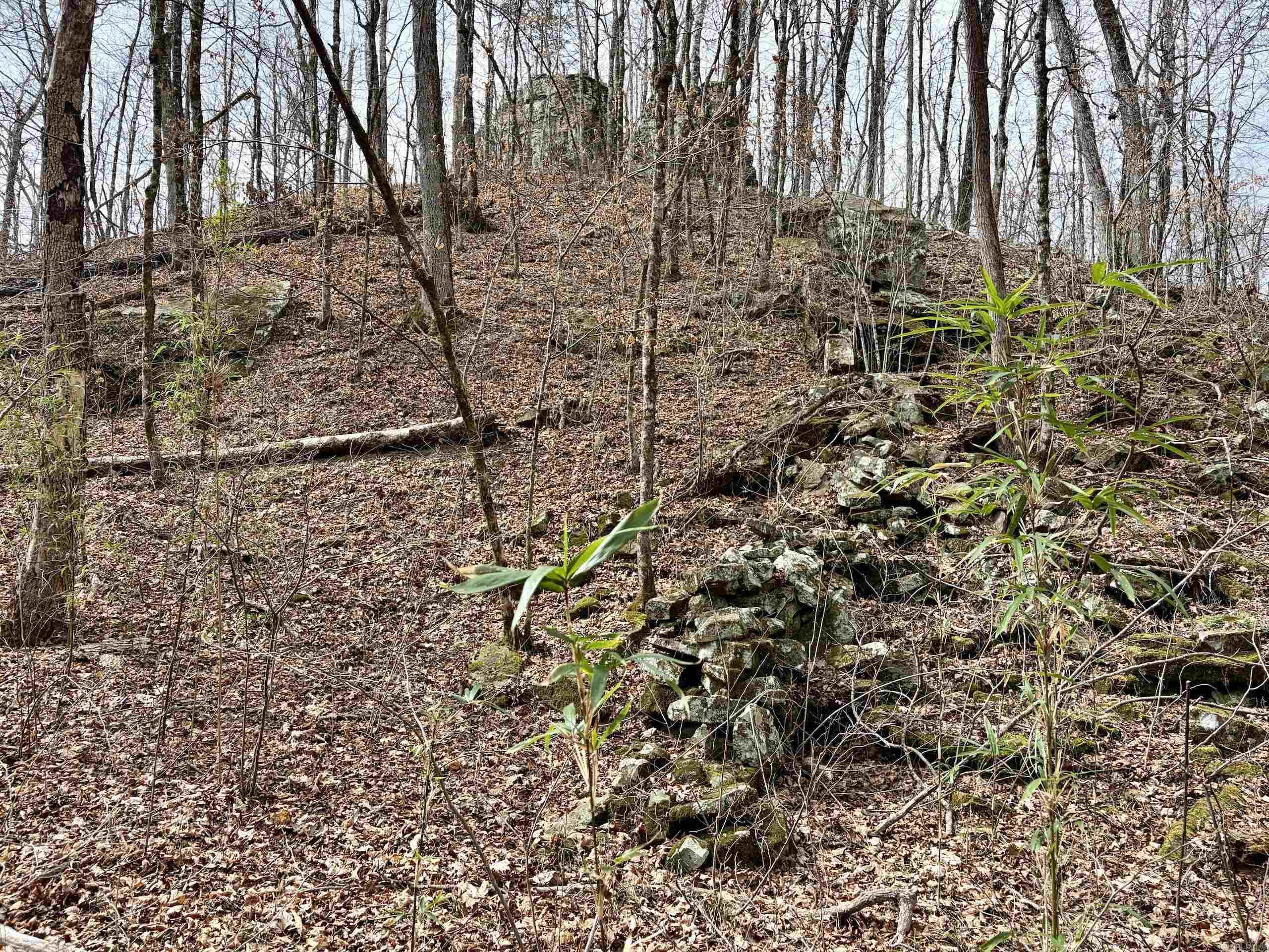 Not in Subdivision - Land