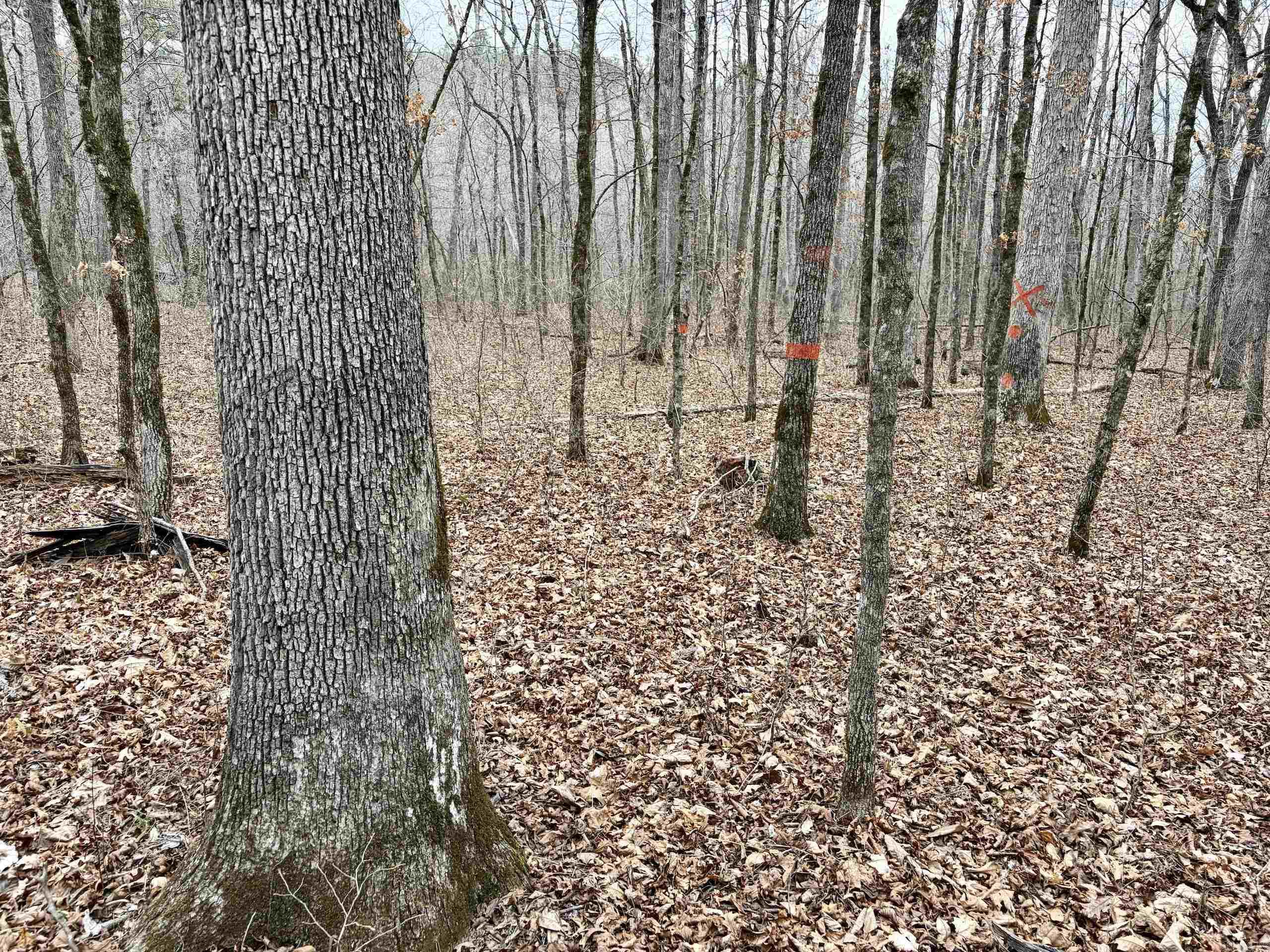 Not in Subdivision - Land