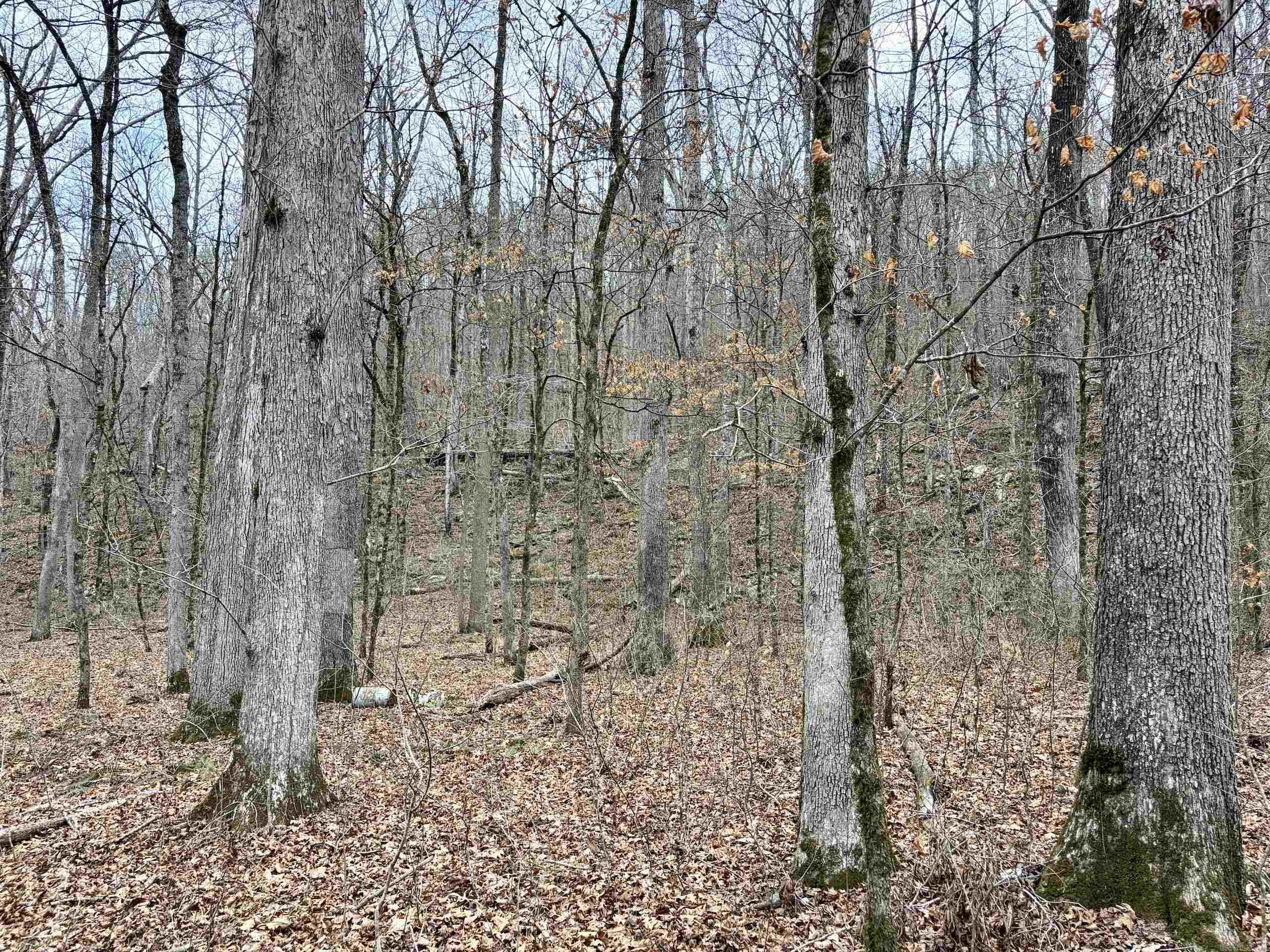 Not in Subdivision - Land