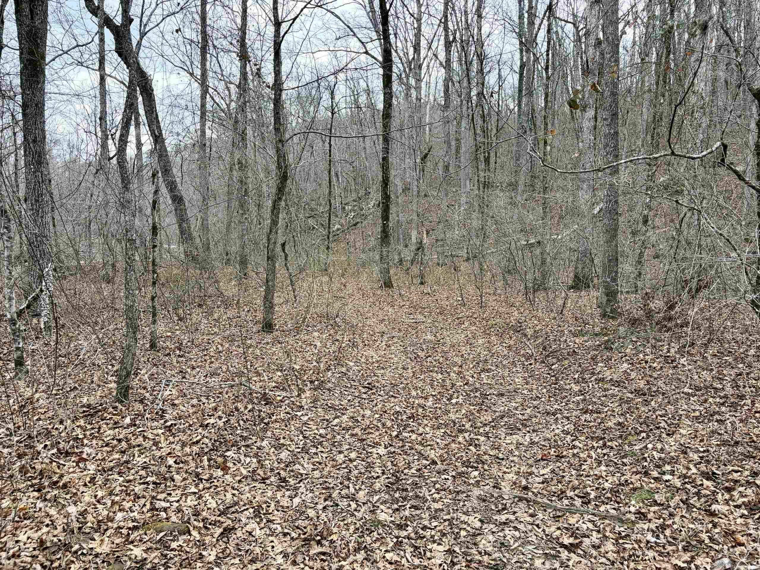 Not in Subdivision - Land