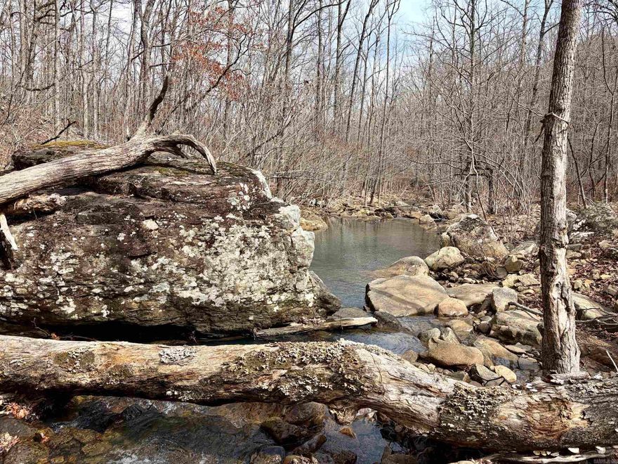 Featuring approximately 700 feet of Archey Creek along with nearly half a mile of Rattlesnake Hollow and its year-round flowing creek, this land is rich with the kind of water sources that attract and sustain abundant wildlife. The terrain is highlighted by classic Ozark features, including massive rock walls, dramatic overhangs, and scenic overlooks, creating a landscape that is as visually striking as it is functional for recreation and hunting.  This is a true wilderness tract with no legal access currently in place and no utilities available, making it best suited for buyers seeking a long-term recreational investment, a conservation-minded holding, or a remote hunting property with the potential to secure access in the future.  The seller's mineral rights will convey, adding further value to this already unique offering.  For those who value privacy, natural water features, expanded public land access, and unpressured wildlife habitat, this is a rare opportunity to own a raw and authentic piece of the Ozark Mountains.