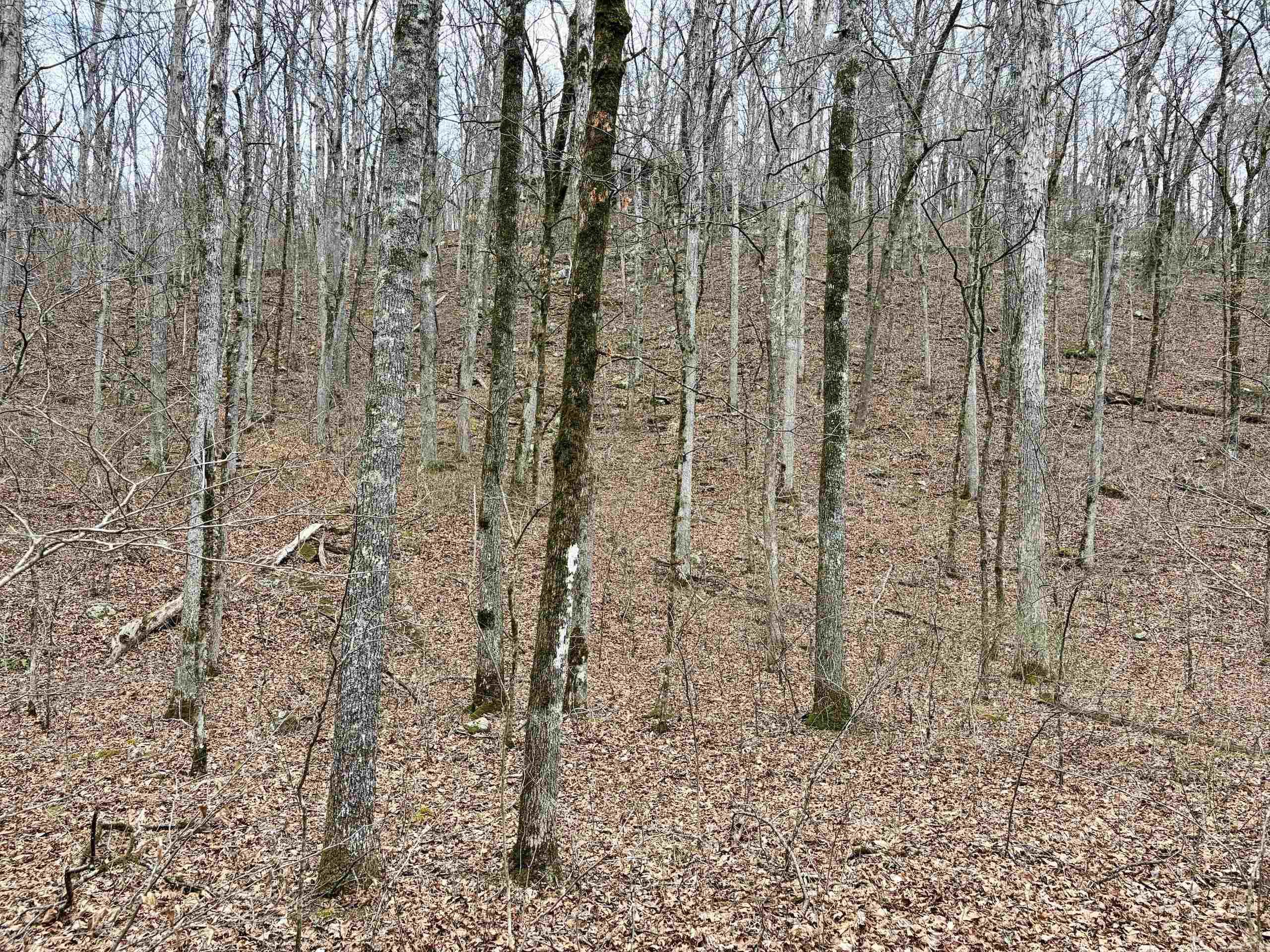 Not in Subdivision - Land