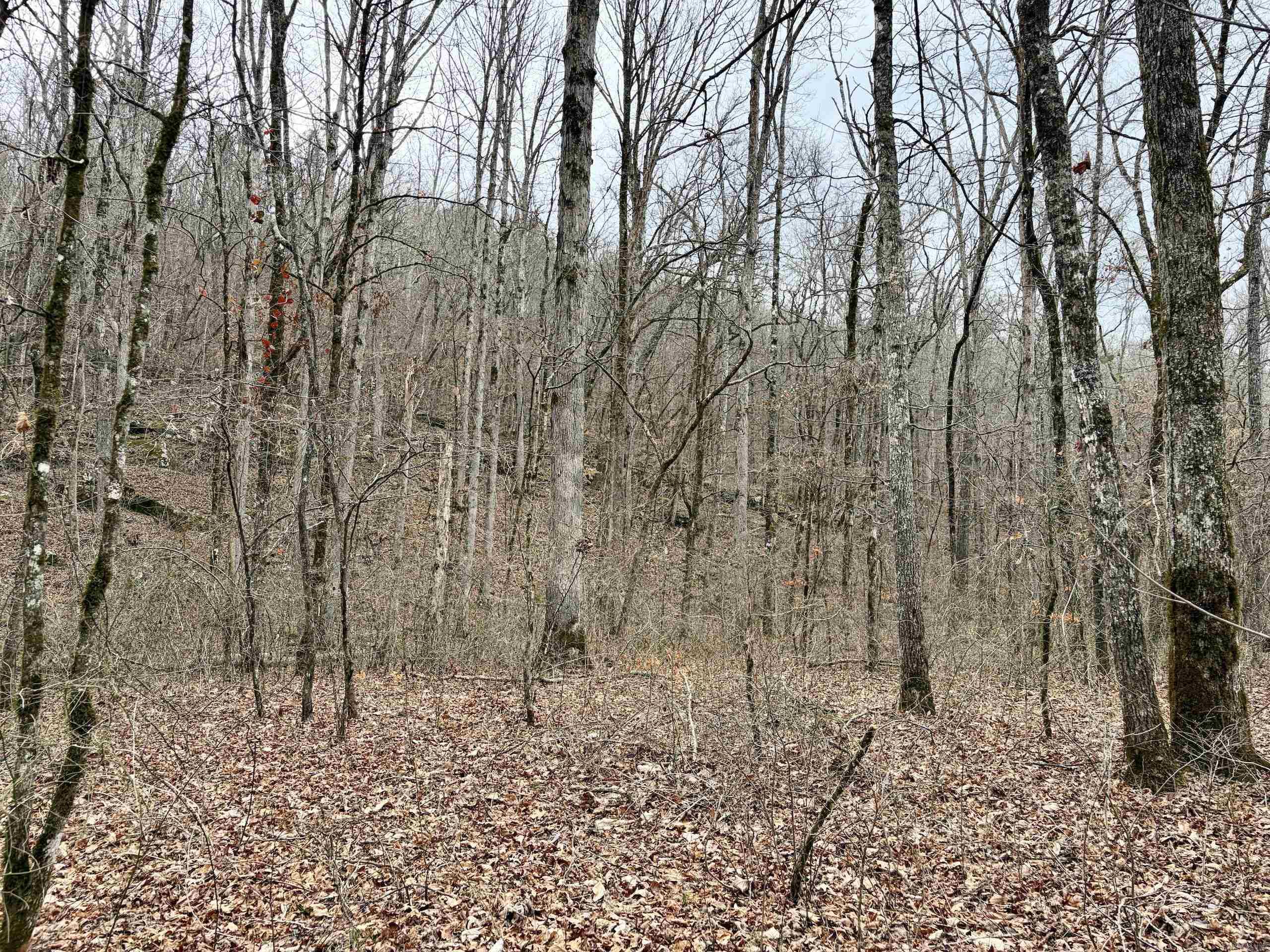 Not in Subdivision - Land