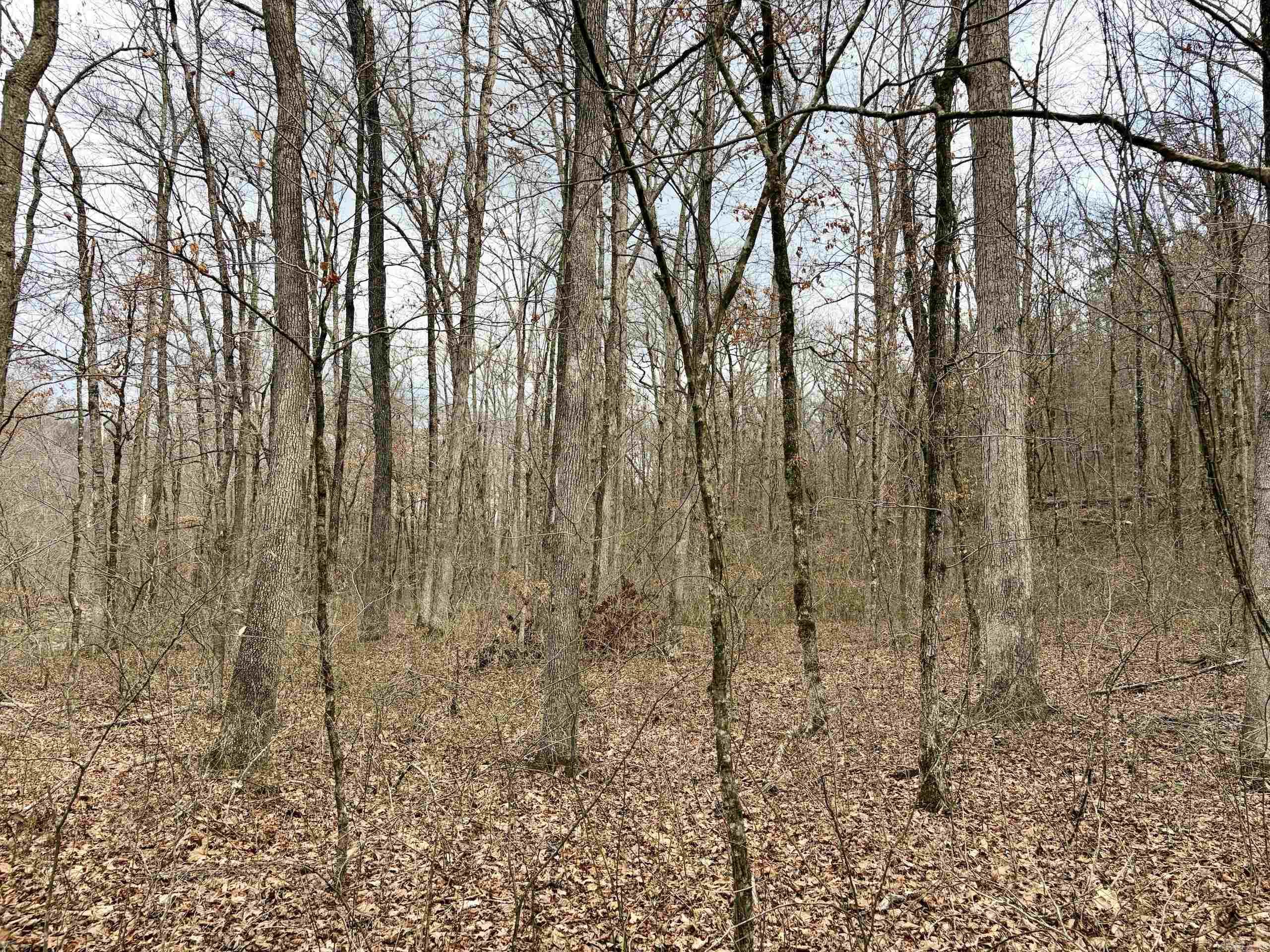 Not in Subdivision - Land