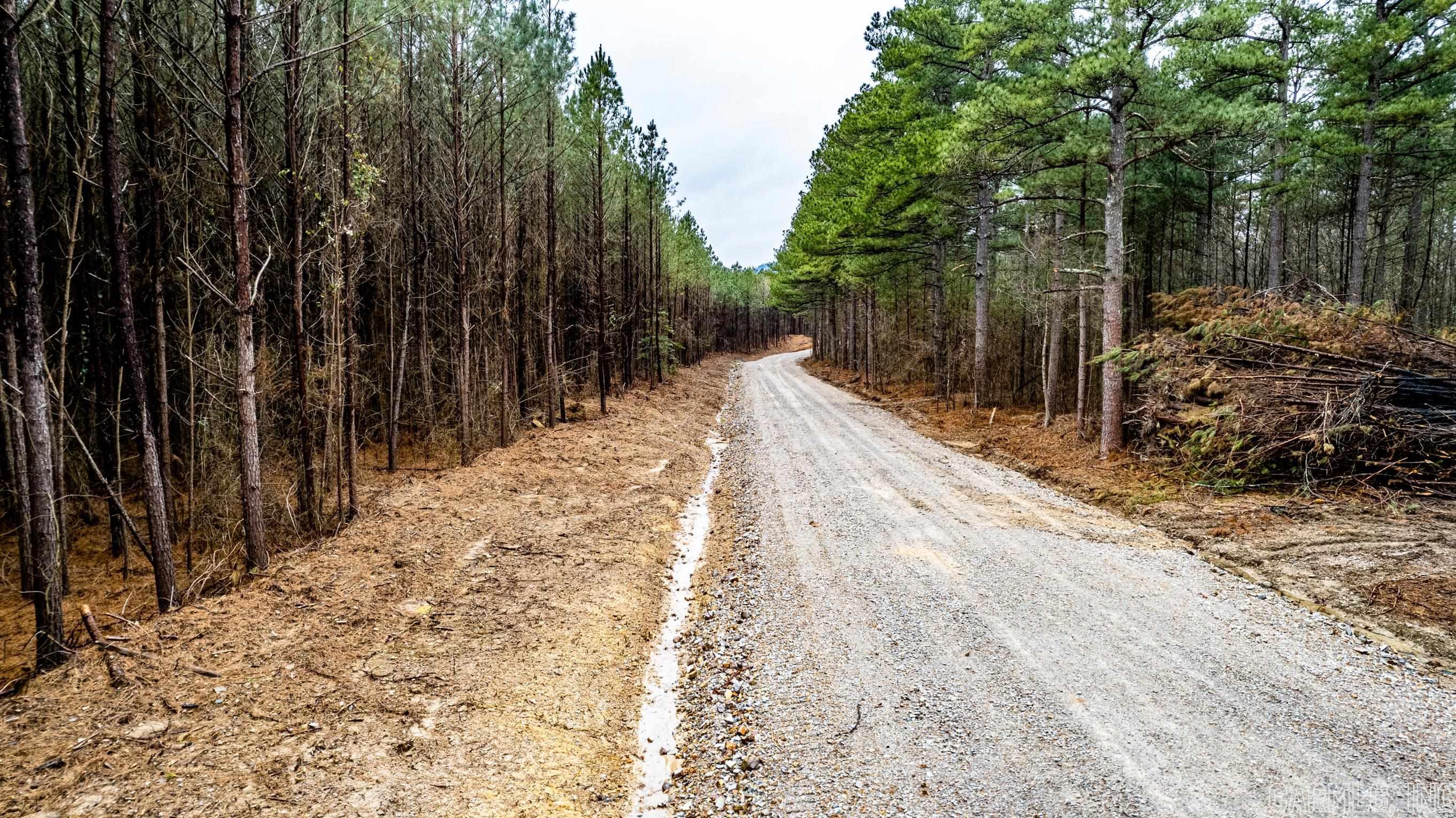 Peaceful Valley - Land