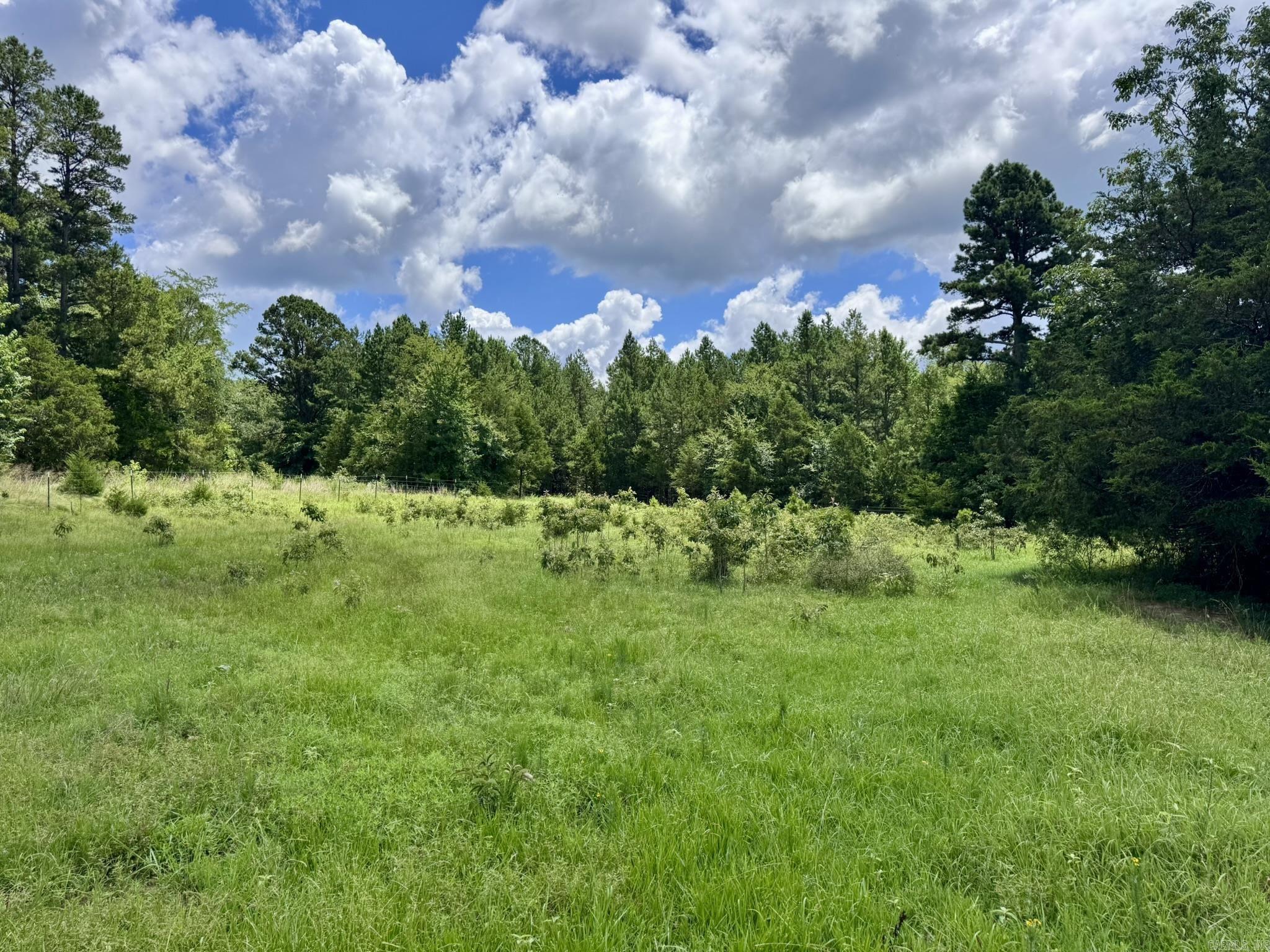 Metes & Bounds - Farm