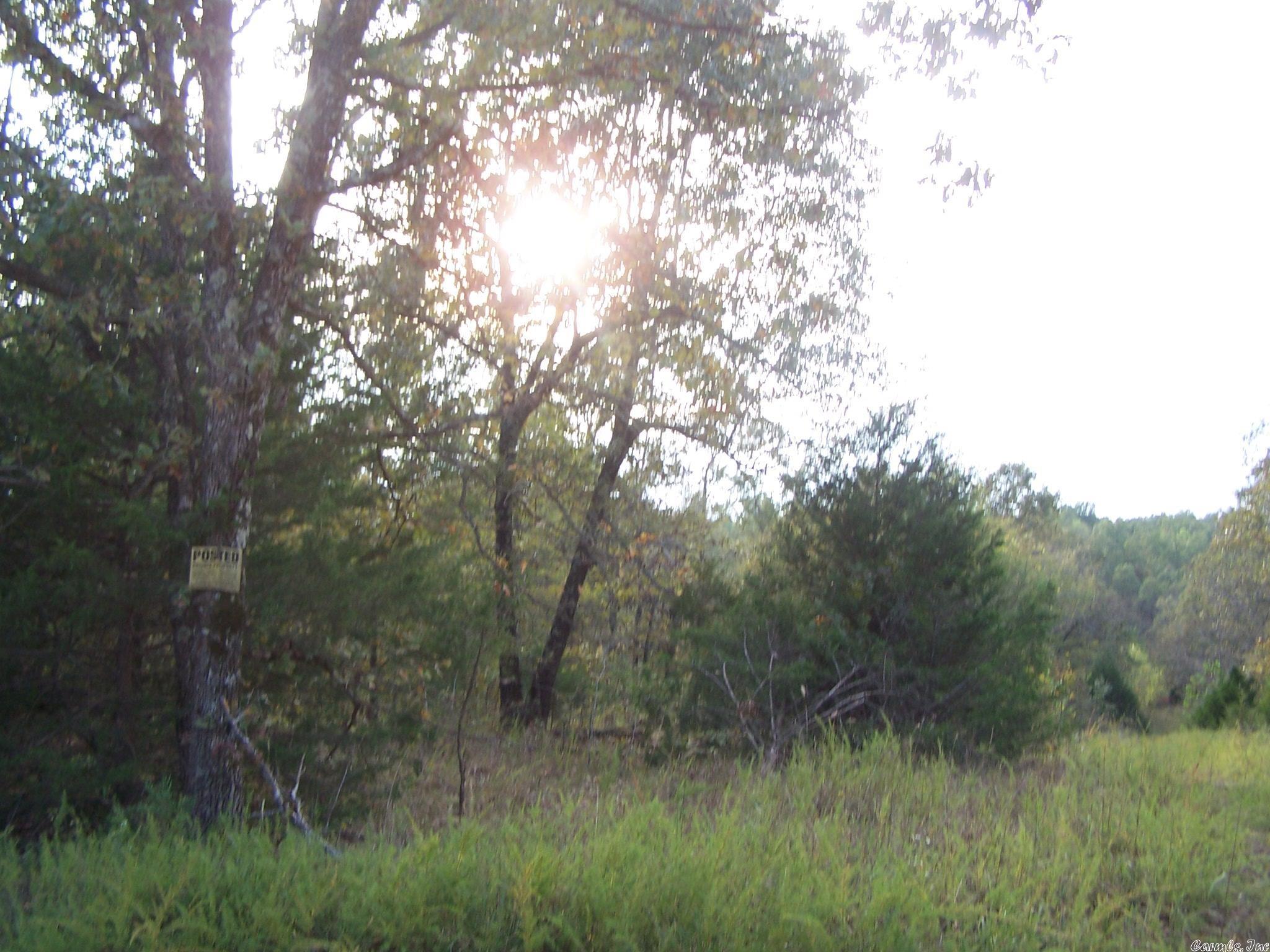 109 acres, 100% timber-located about 2 miles from amenities-Mixed timber including hardwoods and cedar. Electric power available-Approximately 1/2 mile of county road frontage; seasonal creek runs north and south through the property. This tract is an ideal investment/ hunting/ recreational property. Located in north central Arkansas in the Ozarks, not too far from Spring River for canoeing, rafting, kayaking and trout fishing. There are numerous building sites with mountain vistas.