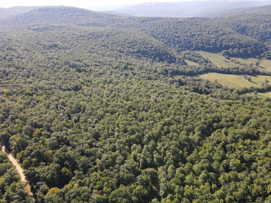 This unique mountaintop retreat is the ultimate hunter’s paradise or getaway. The ultimate in seclusion and privacy is situated atop a mountain on a very seldom traveled county road that stops just a few miles past the land. Located conveniently just off the road is the quaint, partially finished cabin. This cabin is complete with a loft, partial bathroom, and partial kitchen, mostly insulated, wired, and plumbed, has an electric run to it, and sports a metal roof. Like living remotely and want the ideal solution for being away from the world? You just found it. Some infrastructure surrounds the cabin, with fencing, loafing sheds, and some clearing. High-speed fiber internet is currently being brought in through the powerline to keep you connected to the world if desired. This tranquil area is also home to many resident whitetail deer, black bears, and even turkey. The cascading landscape is rolling to level and is loaded with quality young timber with a recent controlled burn. The openness of the wood allows you to navigate without issue and see through the trees for a great distance.