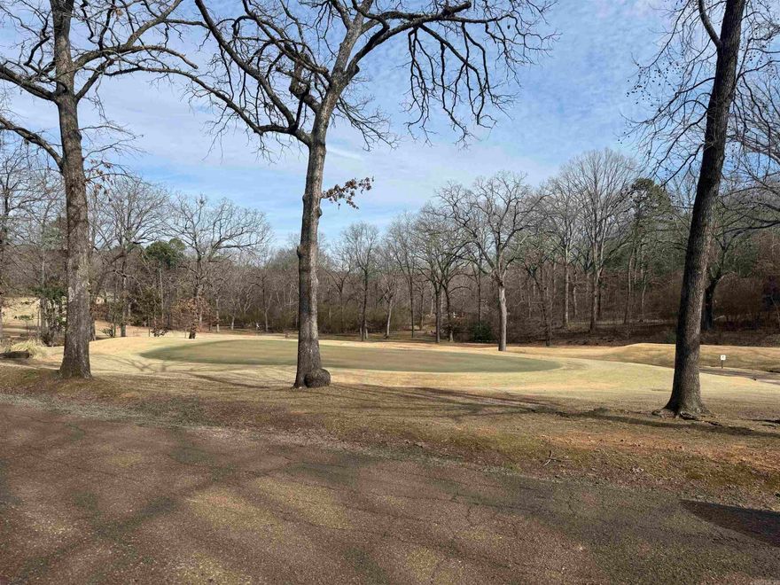 Prime lot on Red Apple golf course. Overlooking hole 12 and back up to 18. Prime building lot with many trees. Gently sloping lot with 1/3 of an acre.  Walking distance to lake and Red Apple Inn.