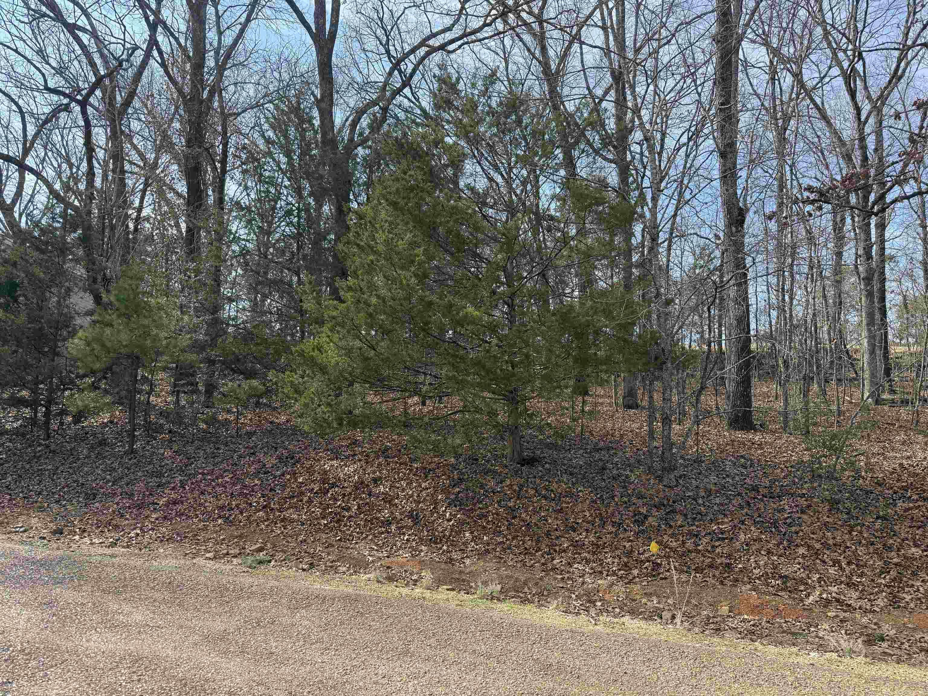 Eden Isle-Country Club - Land